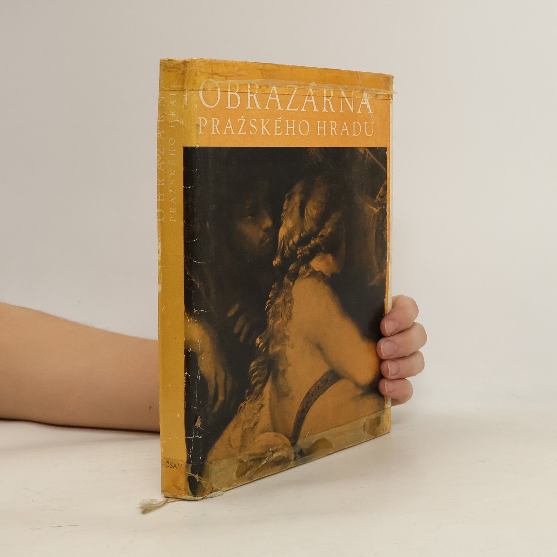 Jaromír Neumann Obrazárna Pražského hradu