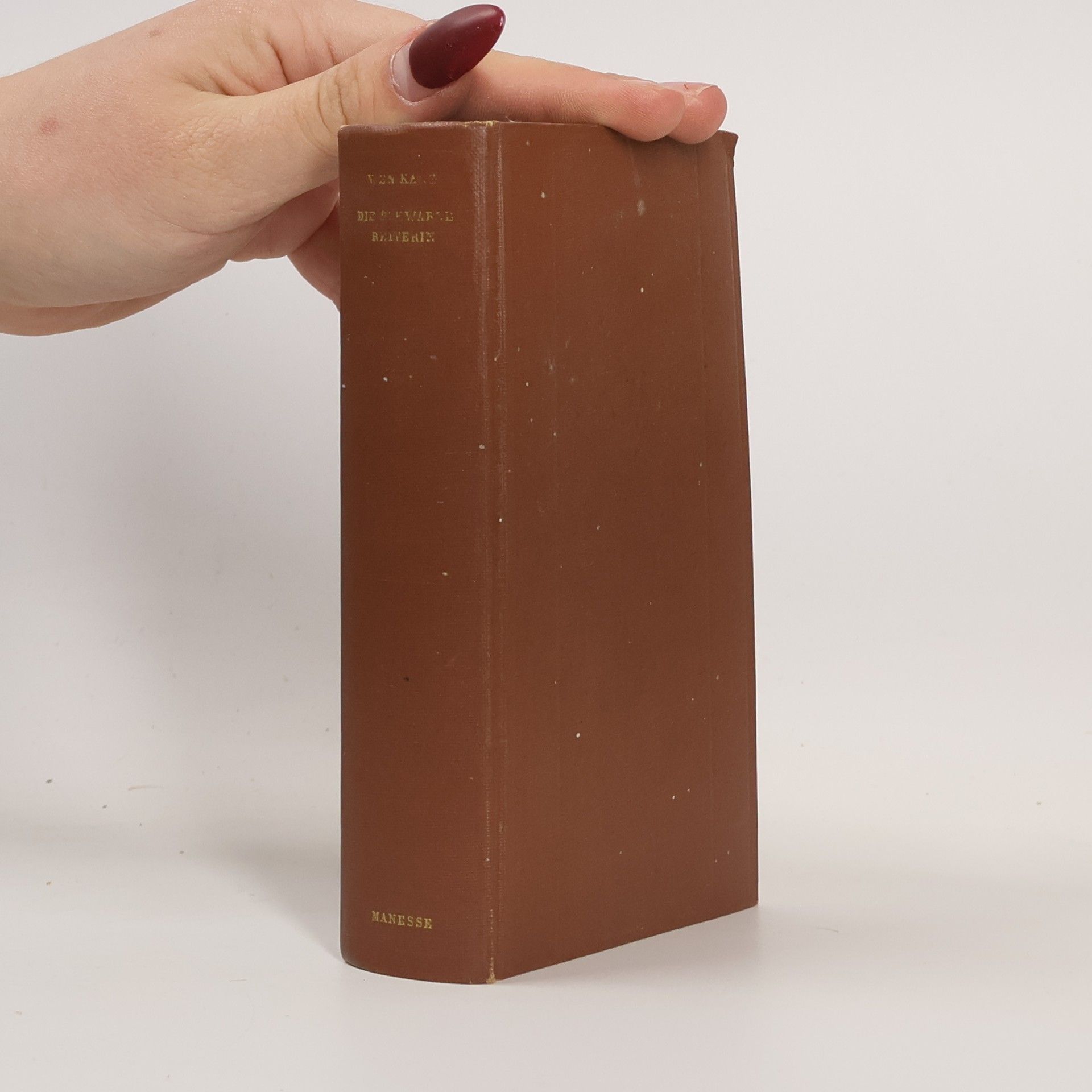 Die schwarze Reiterin