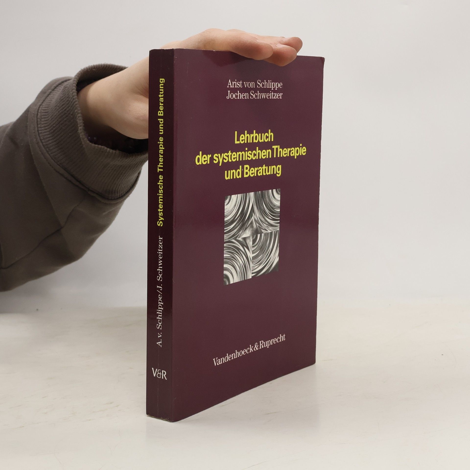 Lehrbuch der systemischen Therapie und Beratung