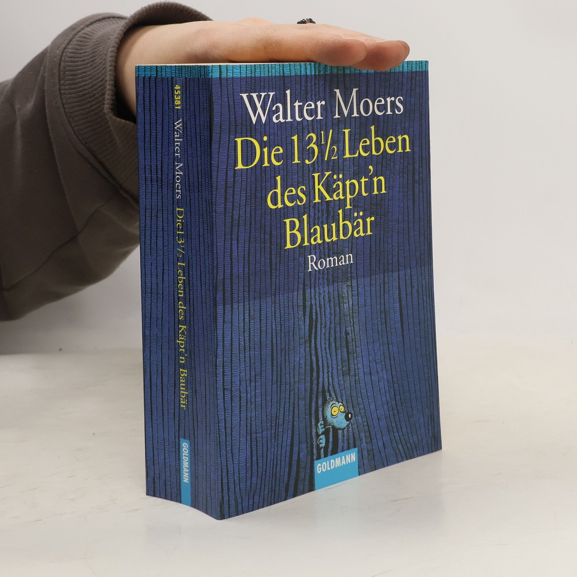 Walter Moers Die 13 1/2 Leben des Käpt'n Blaubär