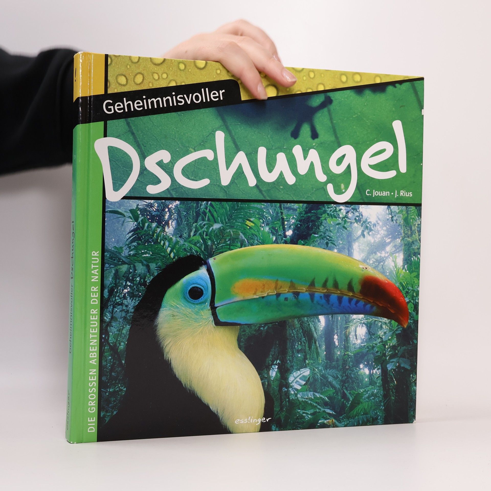 Amandine Labarre Geheimnisvoller Dschungel