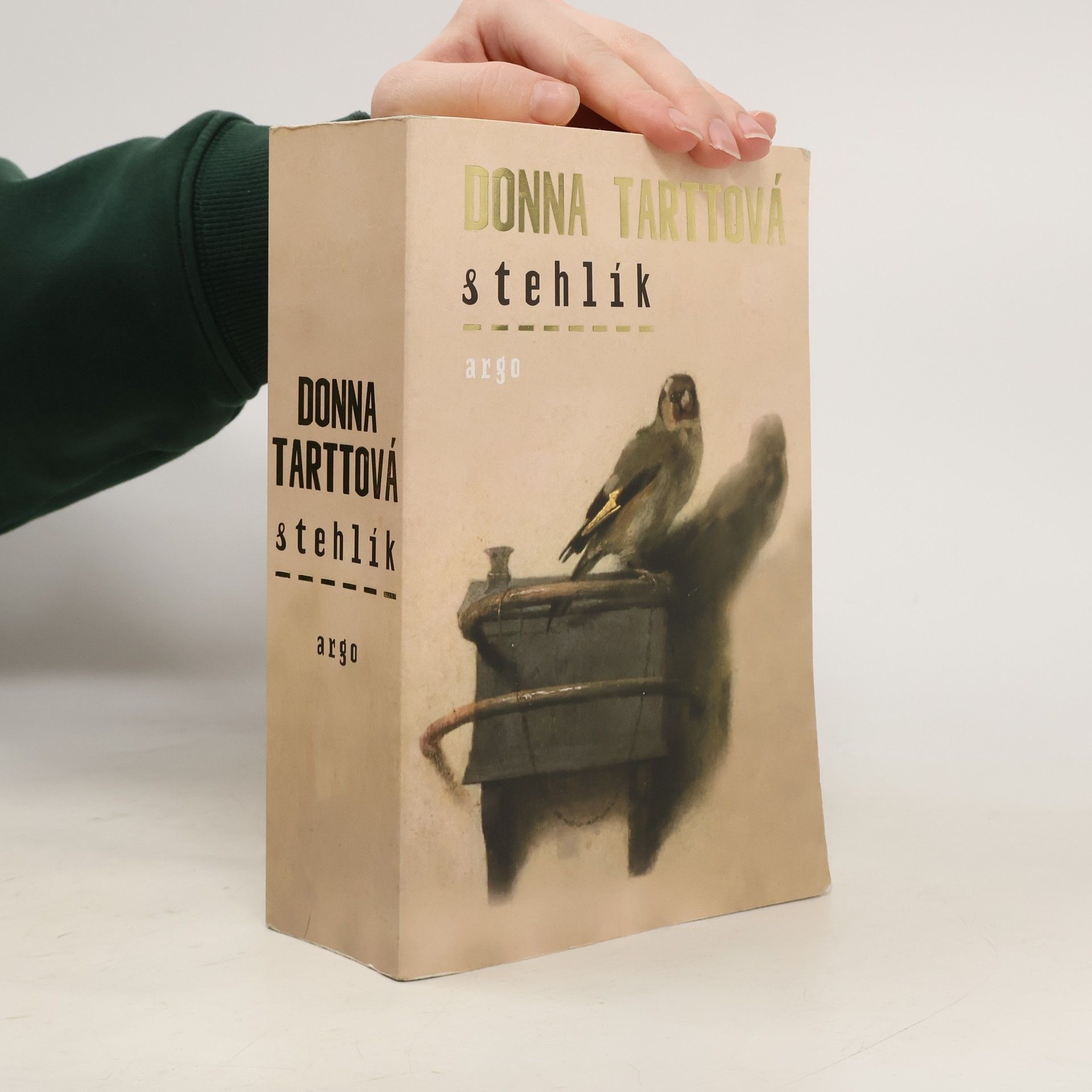 Donna Tartt Stehlík