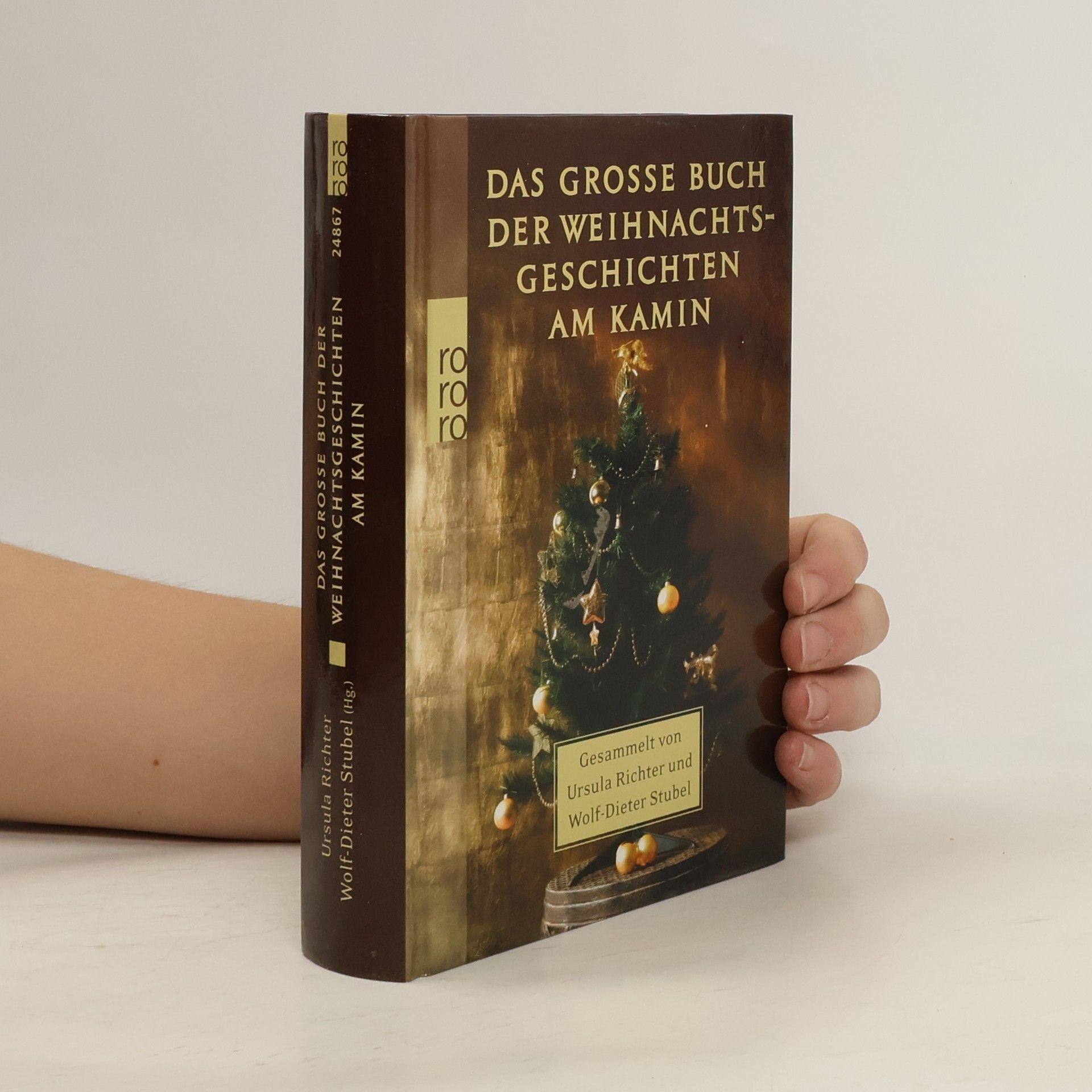 Ursula Richter Das grosse Buch der Weihnachtsgeschichten am Kamin