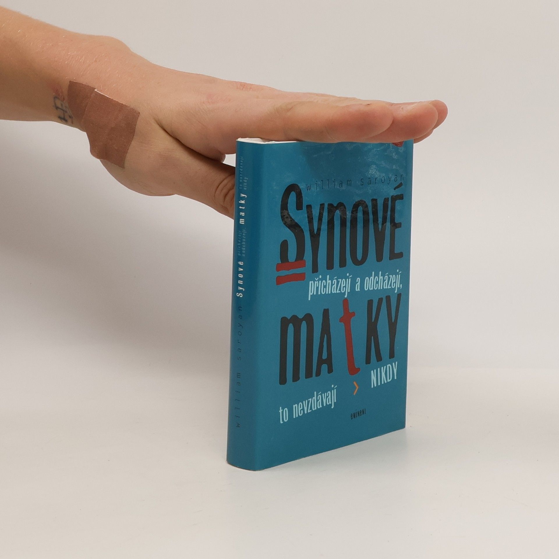 William Saroyan Synové přicházejí a odcházejí, matky to nevzdávají nikdy