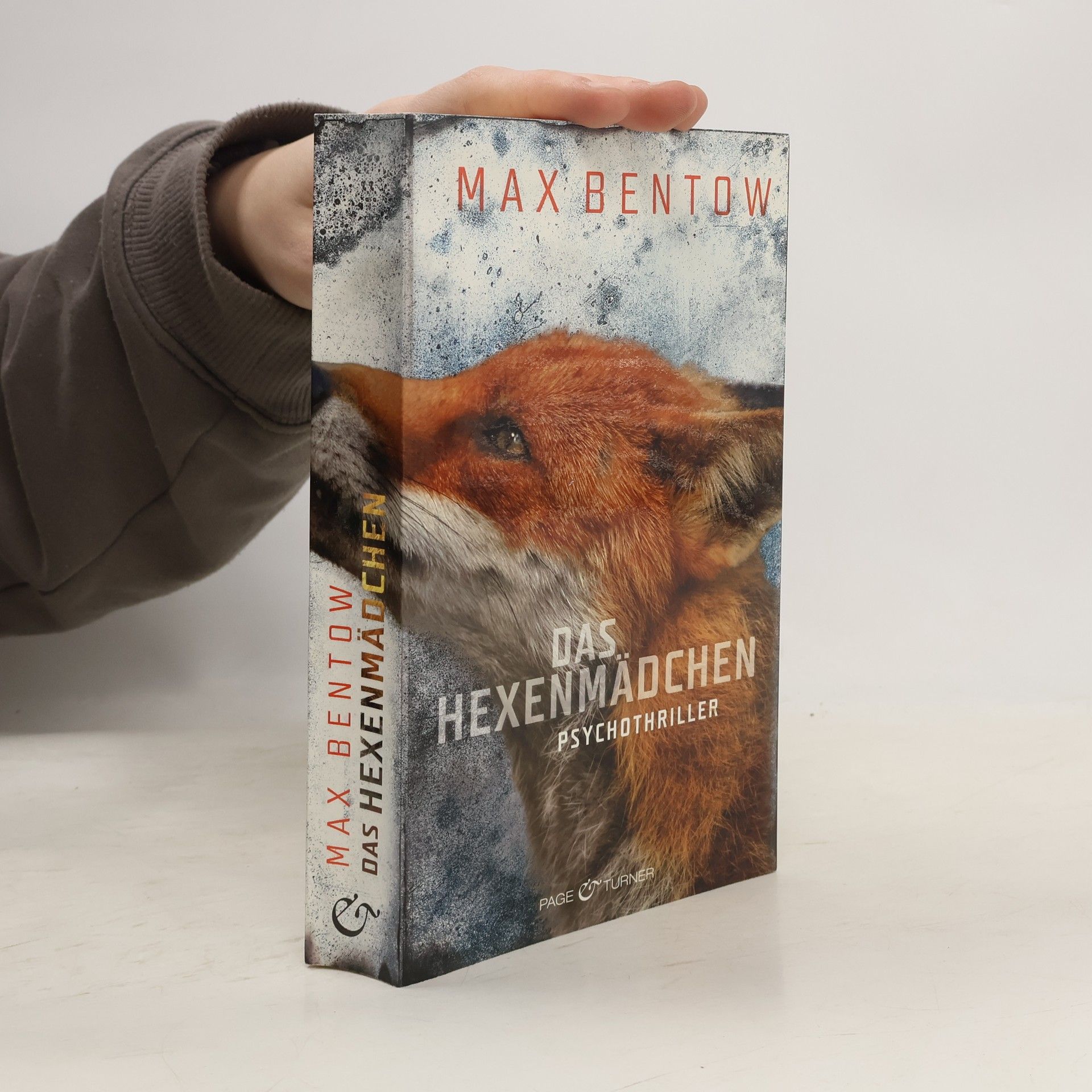 Max Bentow Das Hexenmädchen