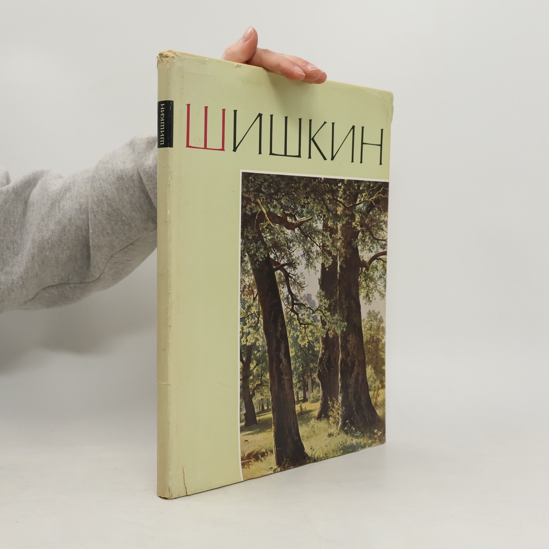 Kolektiv autorů Иван Иванович Шишкин