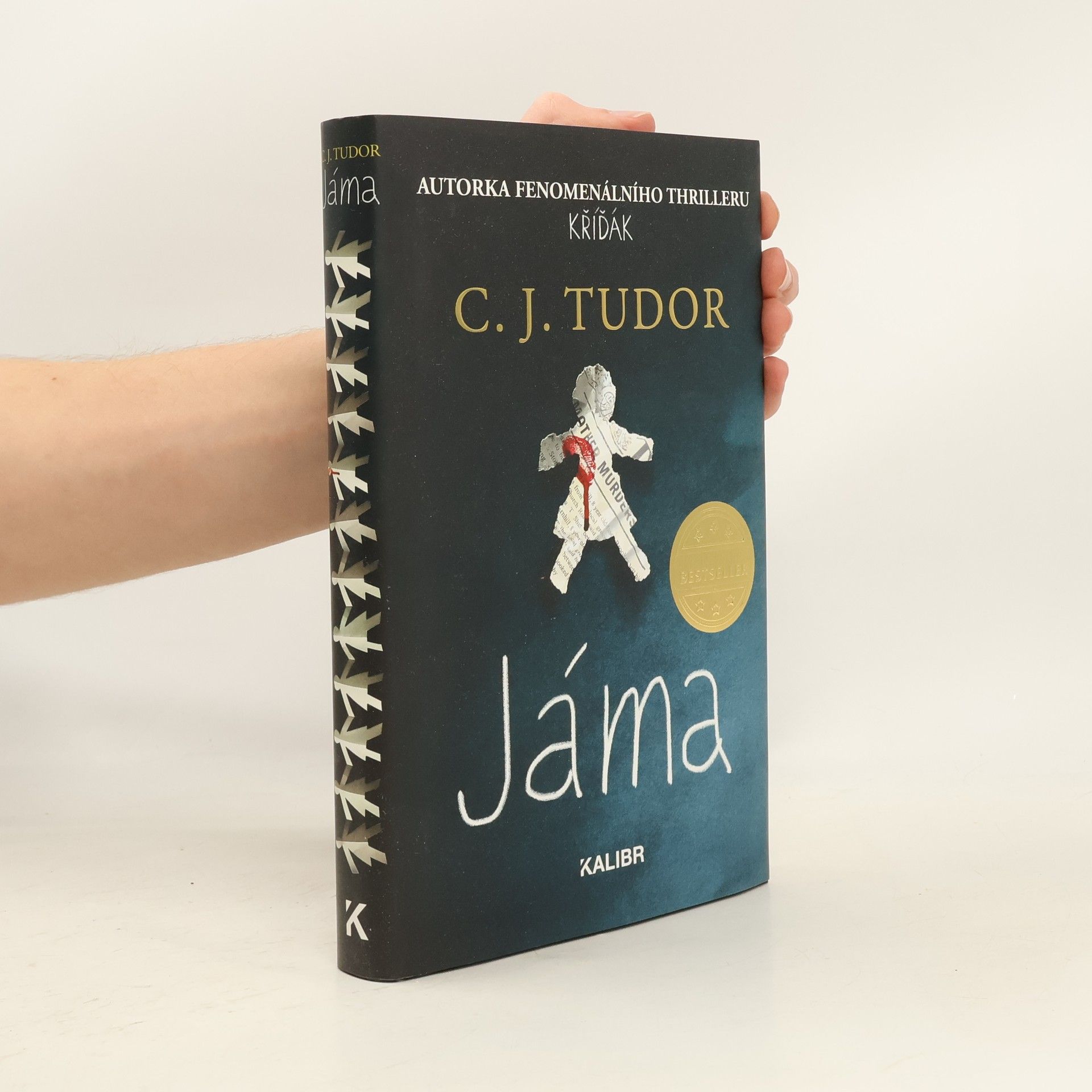 C.J. Tudor Jáma