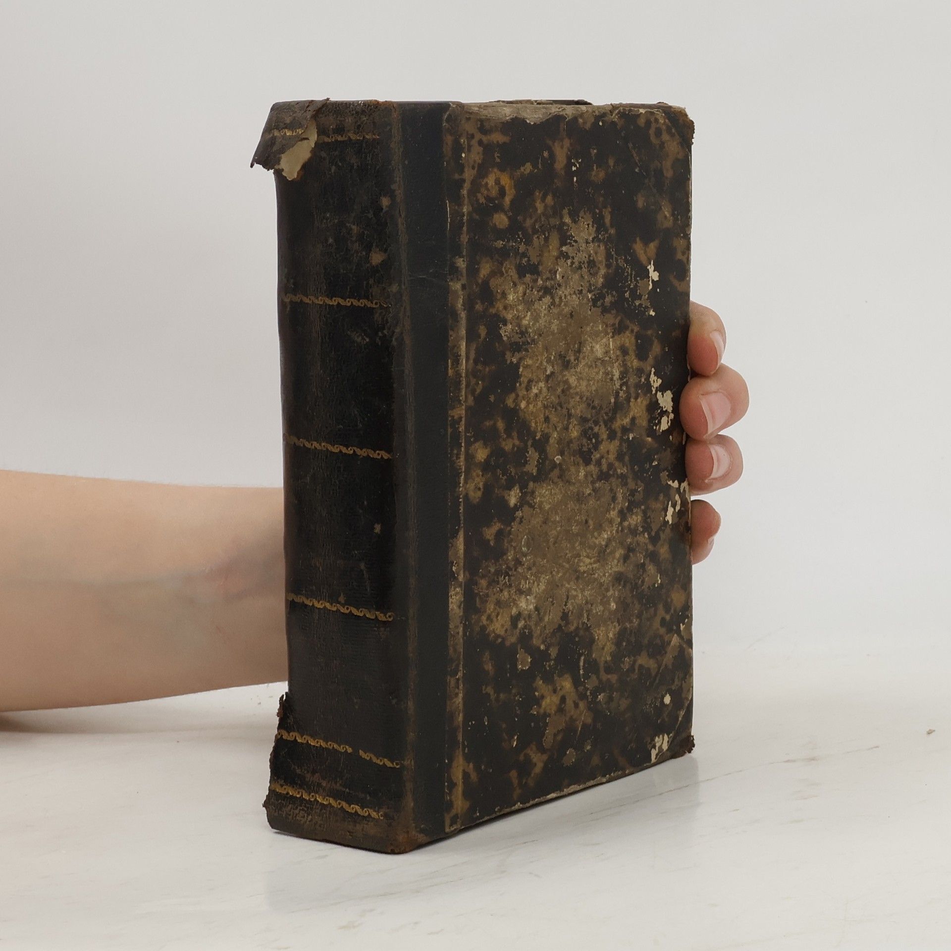 kolektiv Lessen en Evangelien