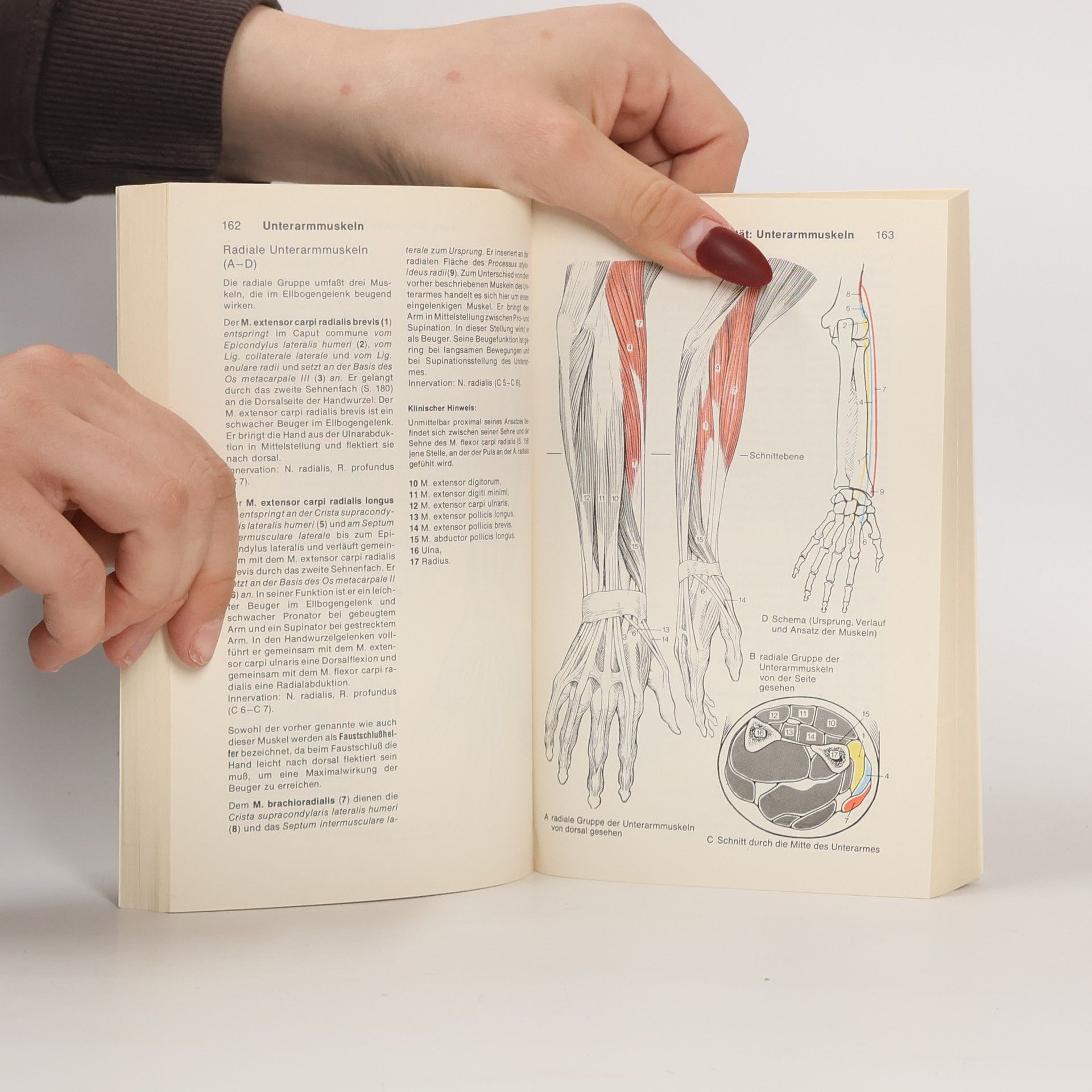 Werner Kahle Taschenatlas der Anatomie für Studium und Praxis