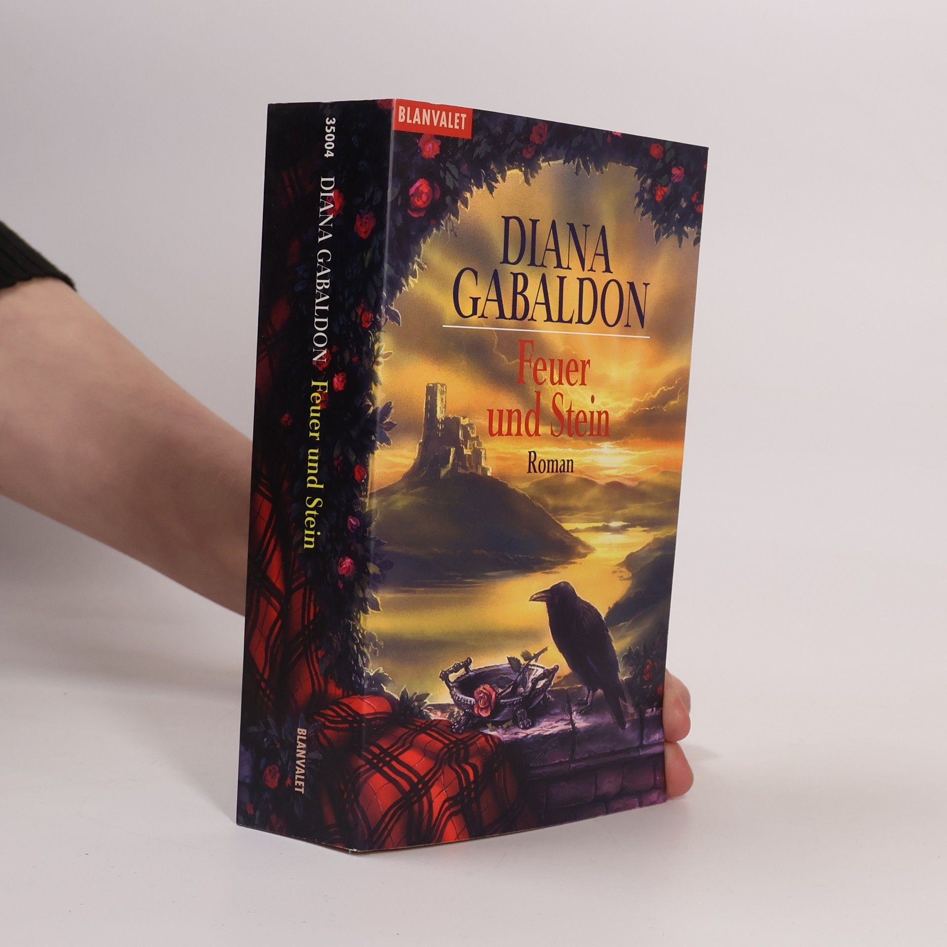 Diana Gabaldon Feuer und Stein