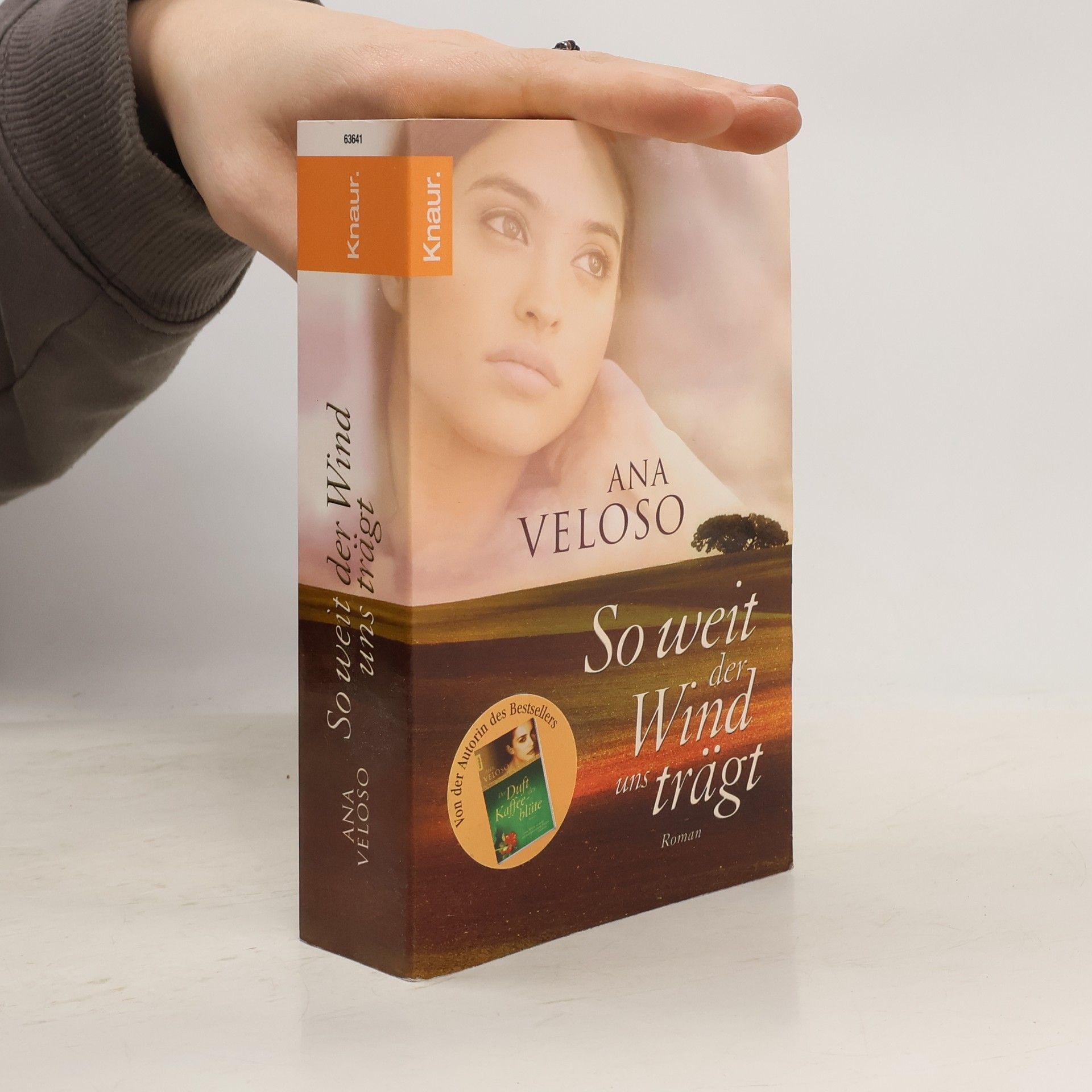 Ana Veloso So weit der Wind uns trägt