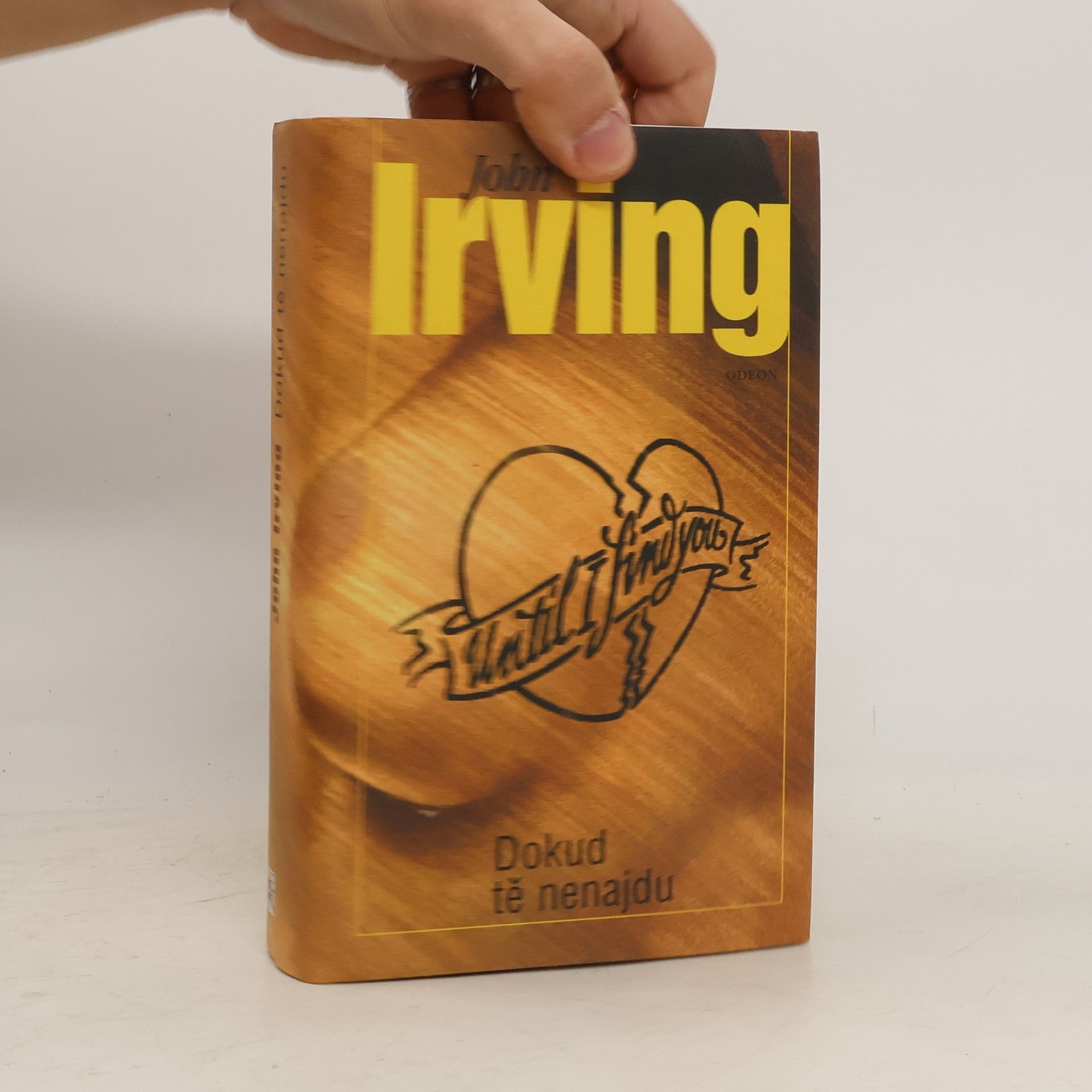 John Irving Dokud tě nenajdu