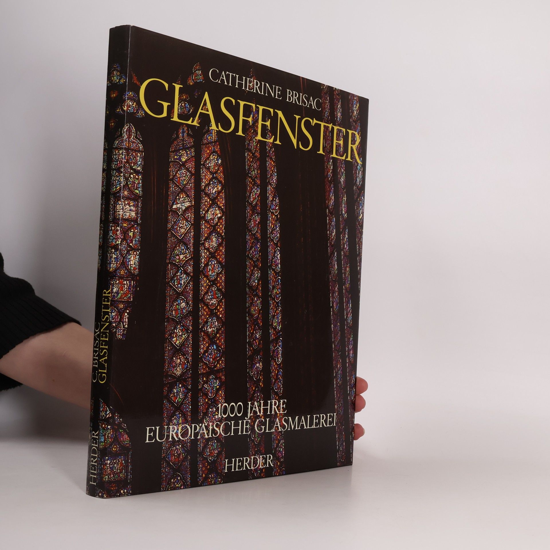 Catherine Brisac Glasfenster. 1000 Jahre Europäische Glasmalerei