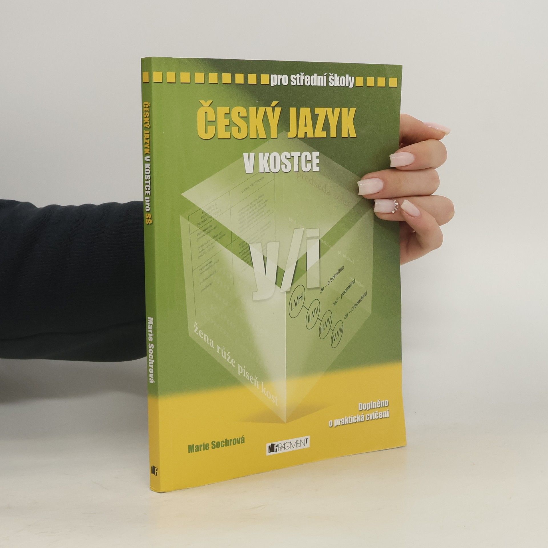 Marie Sochrová Český jazyk v kostce : pro střední školy