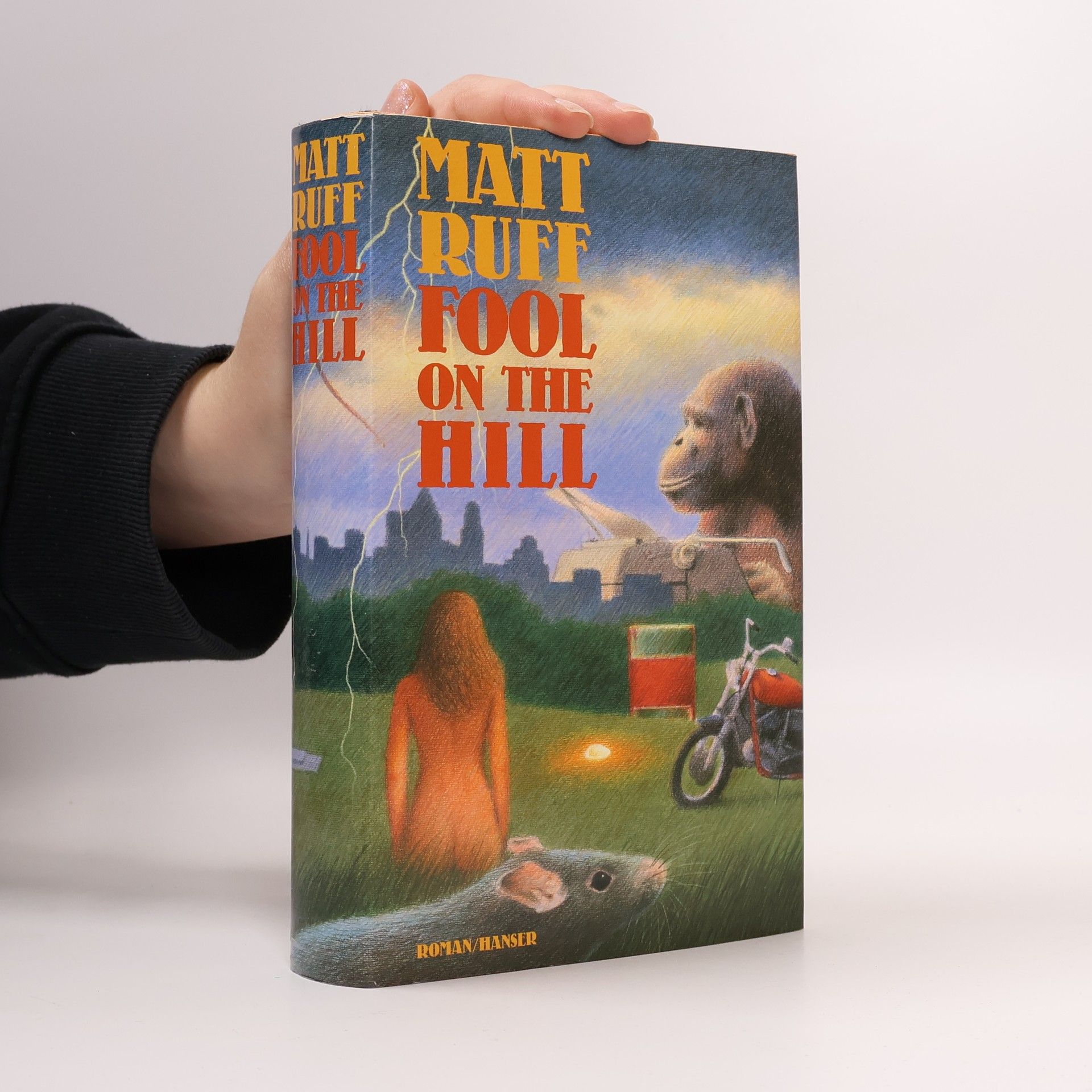 Matt Ruff Fool on the hill