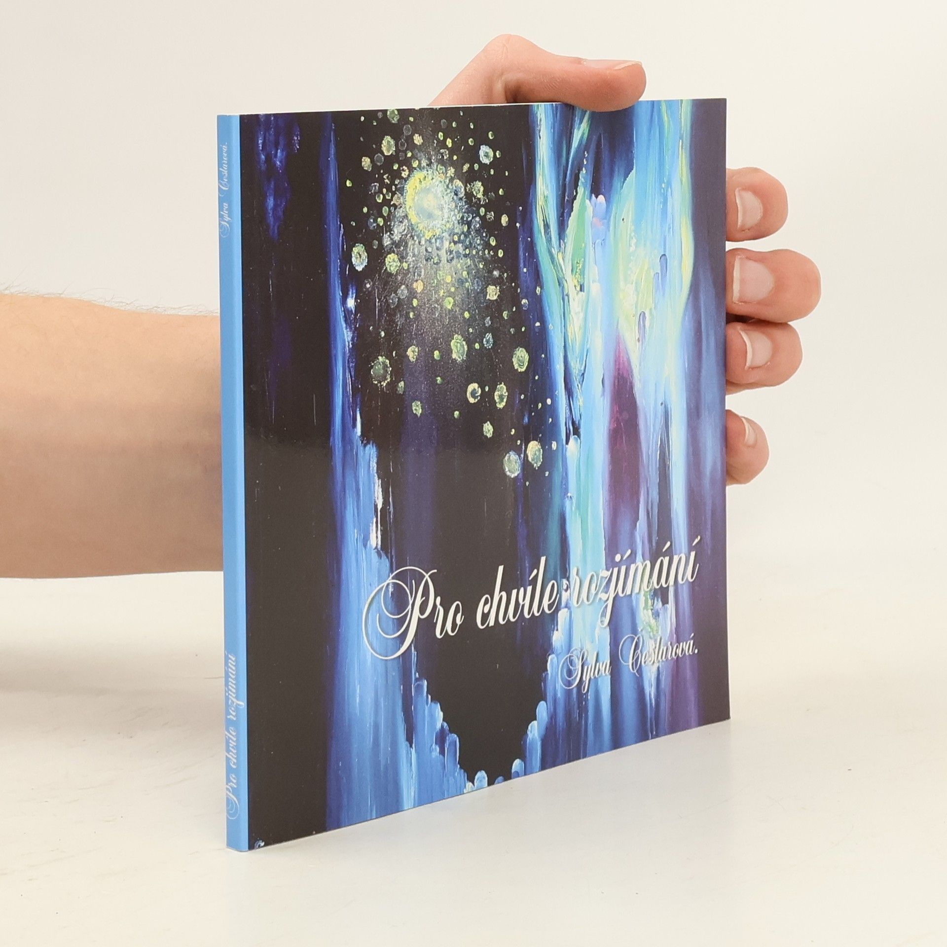 Sylva Česlarová Pro chvíle rozjímání