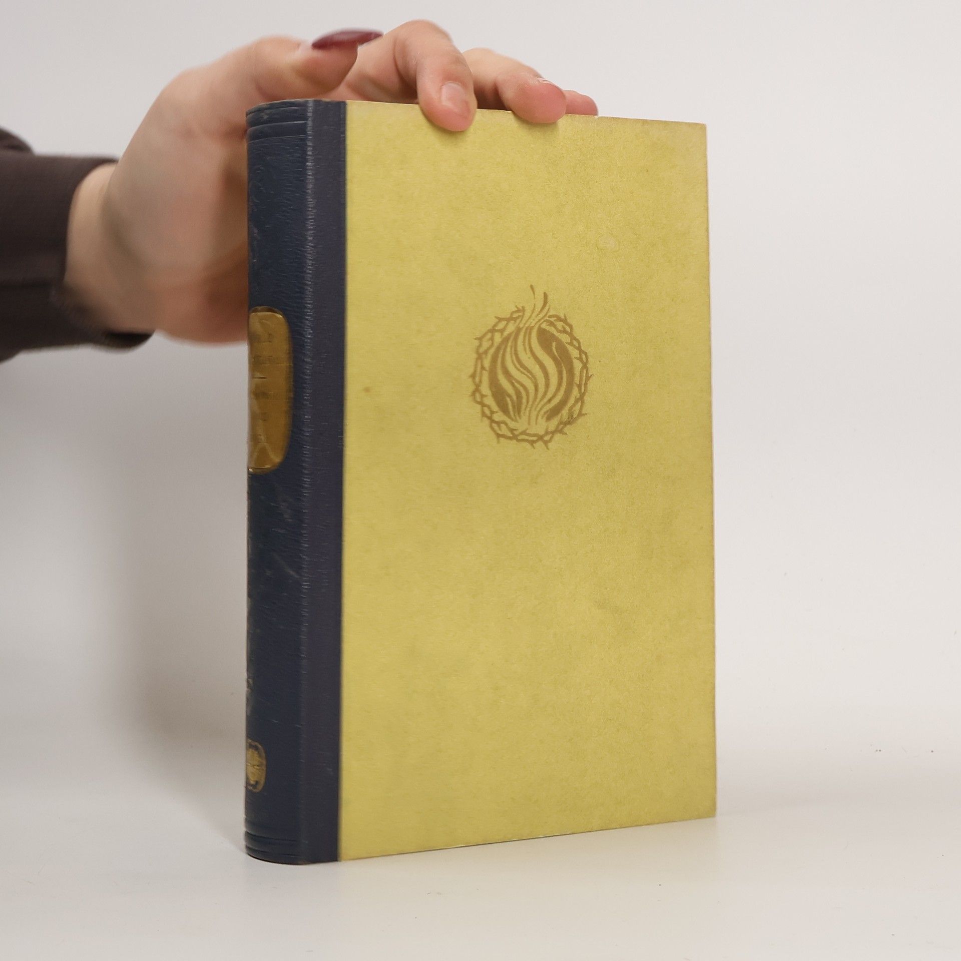 Carlo Coccioli Himmel und Erde