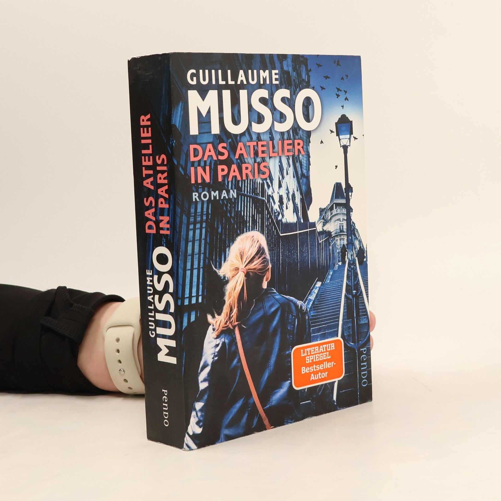Guillaume Musso Das Atelier in Paris