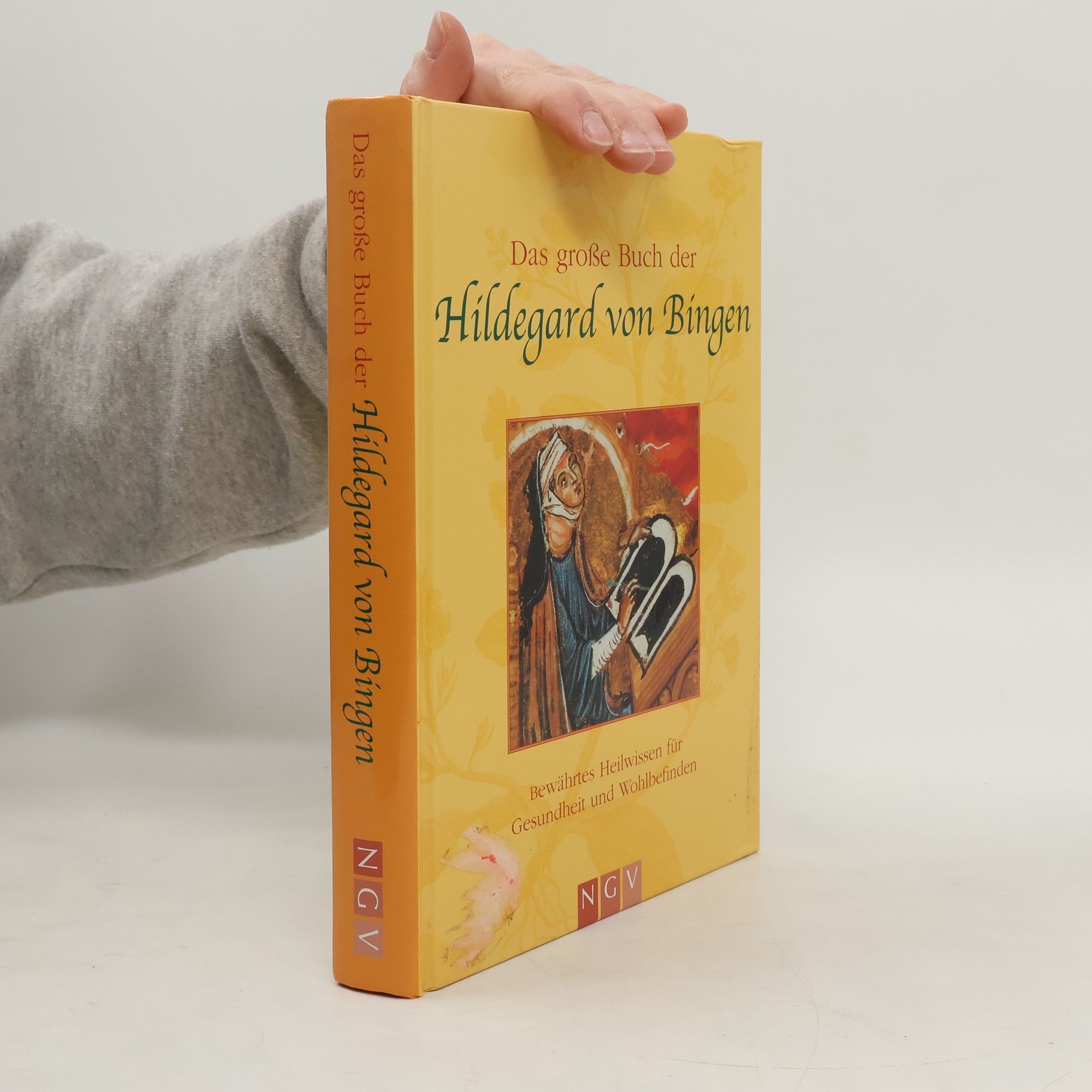 Hildegard of Bingen Das große Buch der Hildegard von Bingen