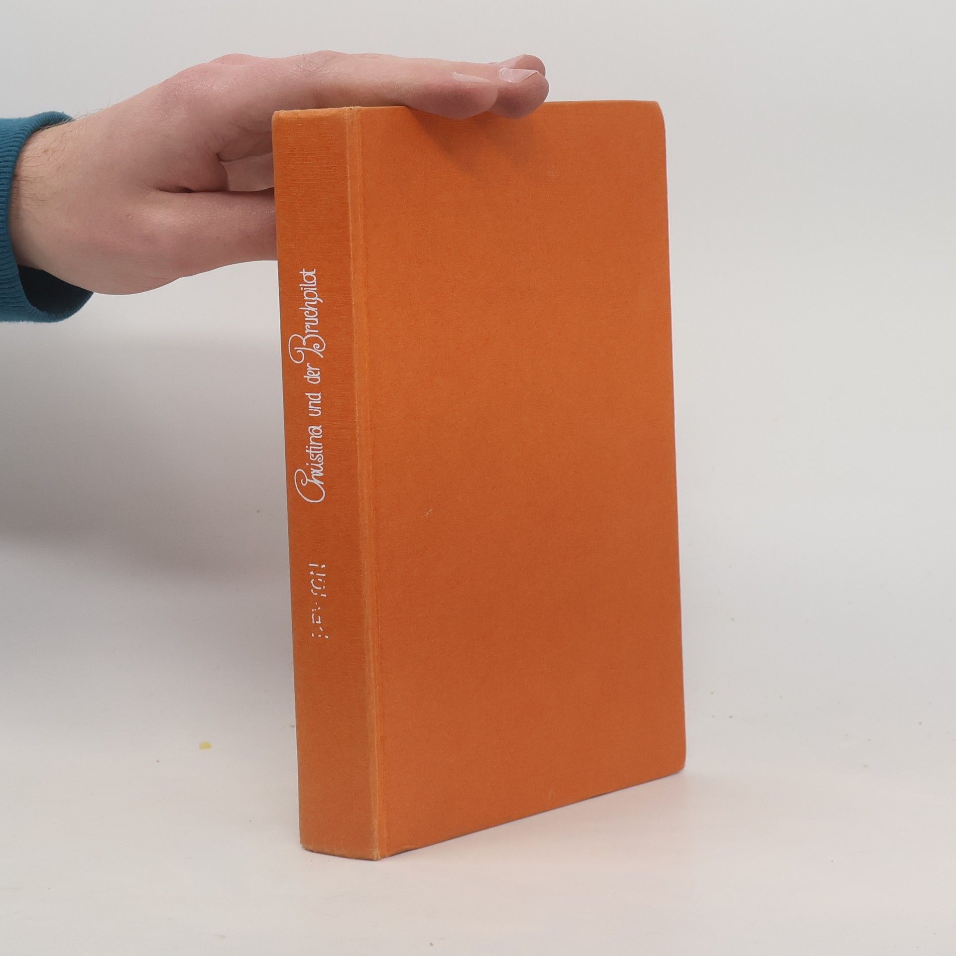 K. M. Peyton Christina und der Bruchpilot