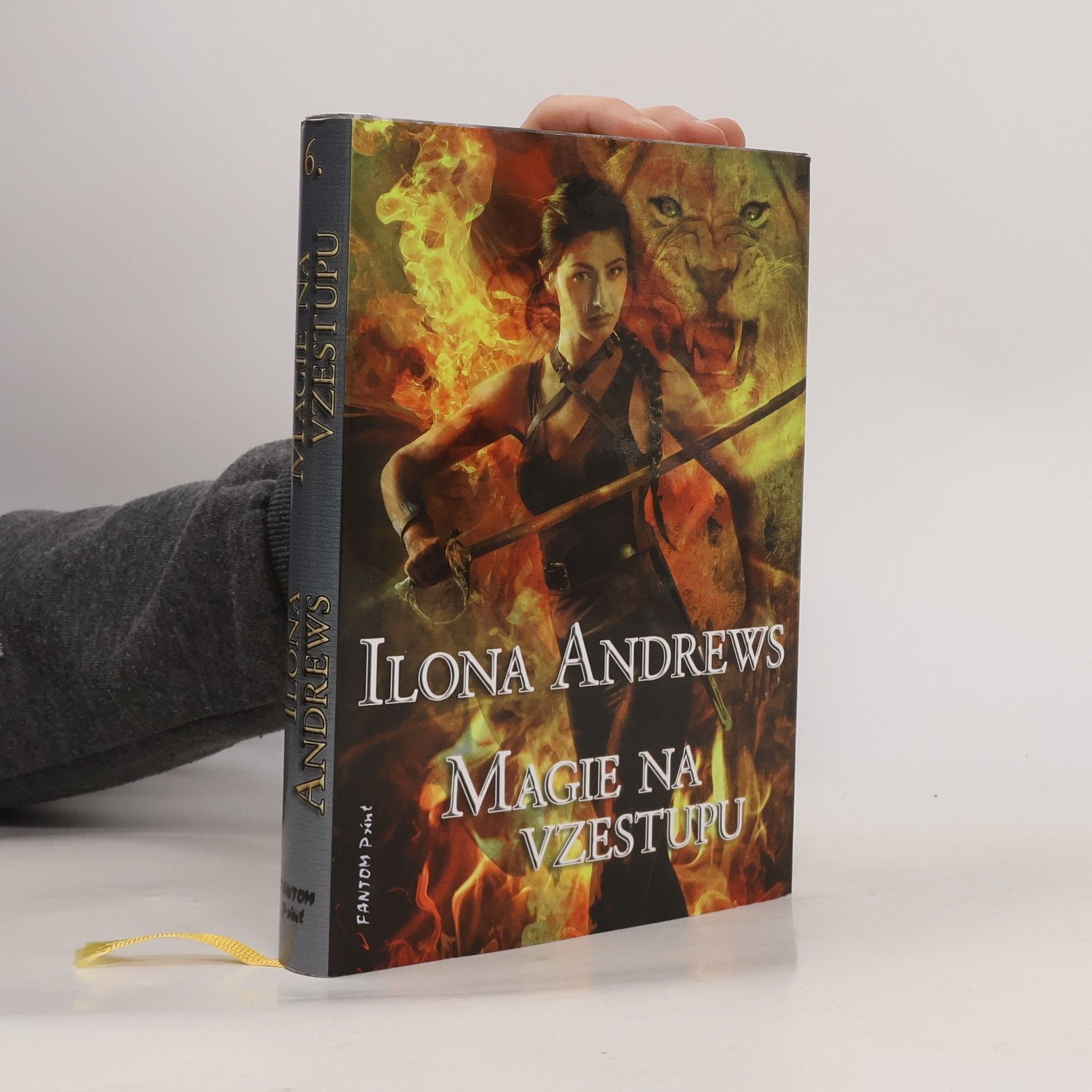 Ilona Andrews Magie na vzestupu