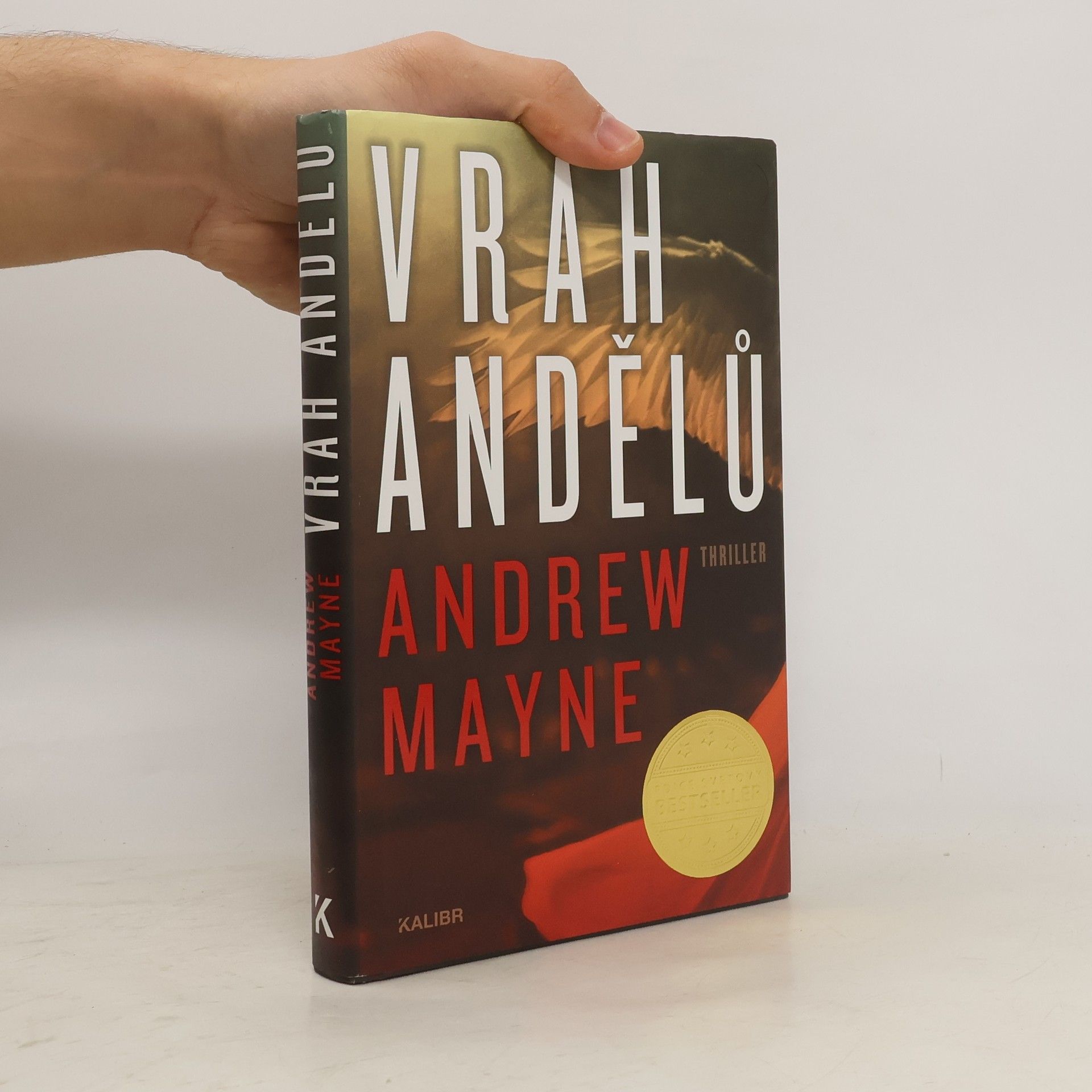 Andrew Mayne Vrah andělů