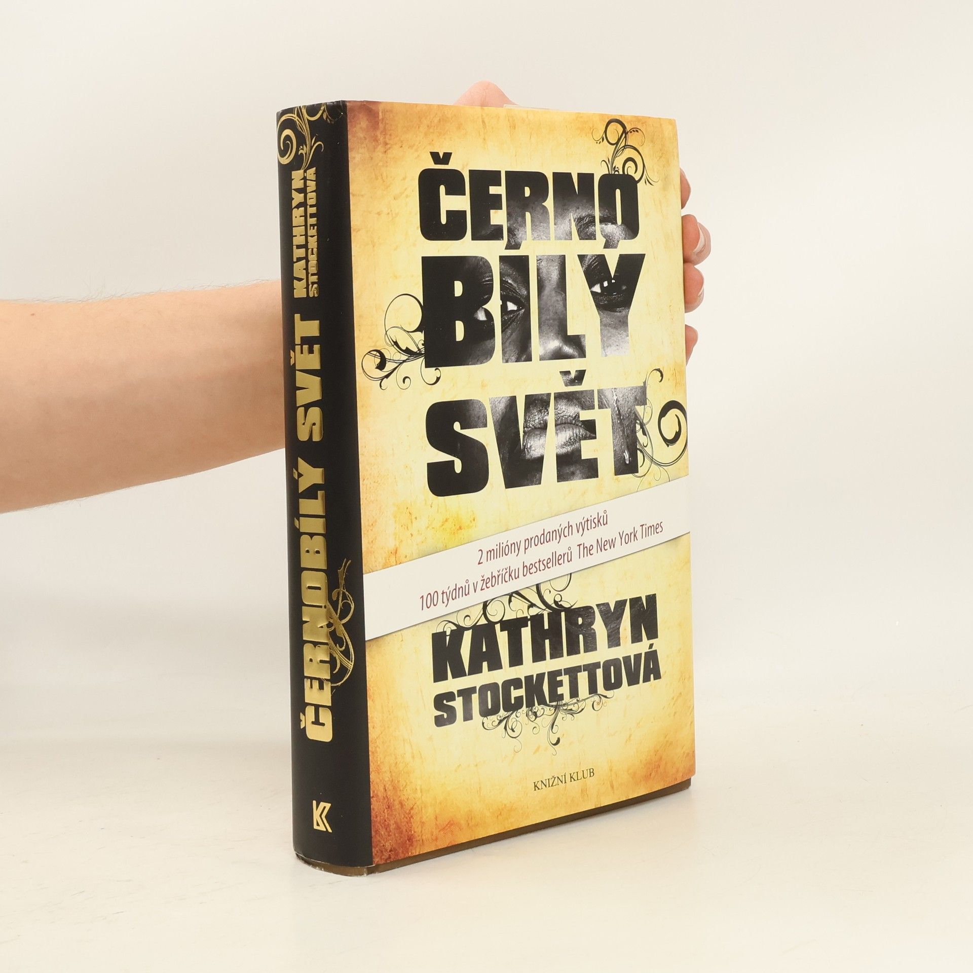 Kathryn Stockett Černobílý svět