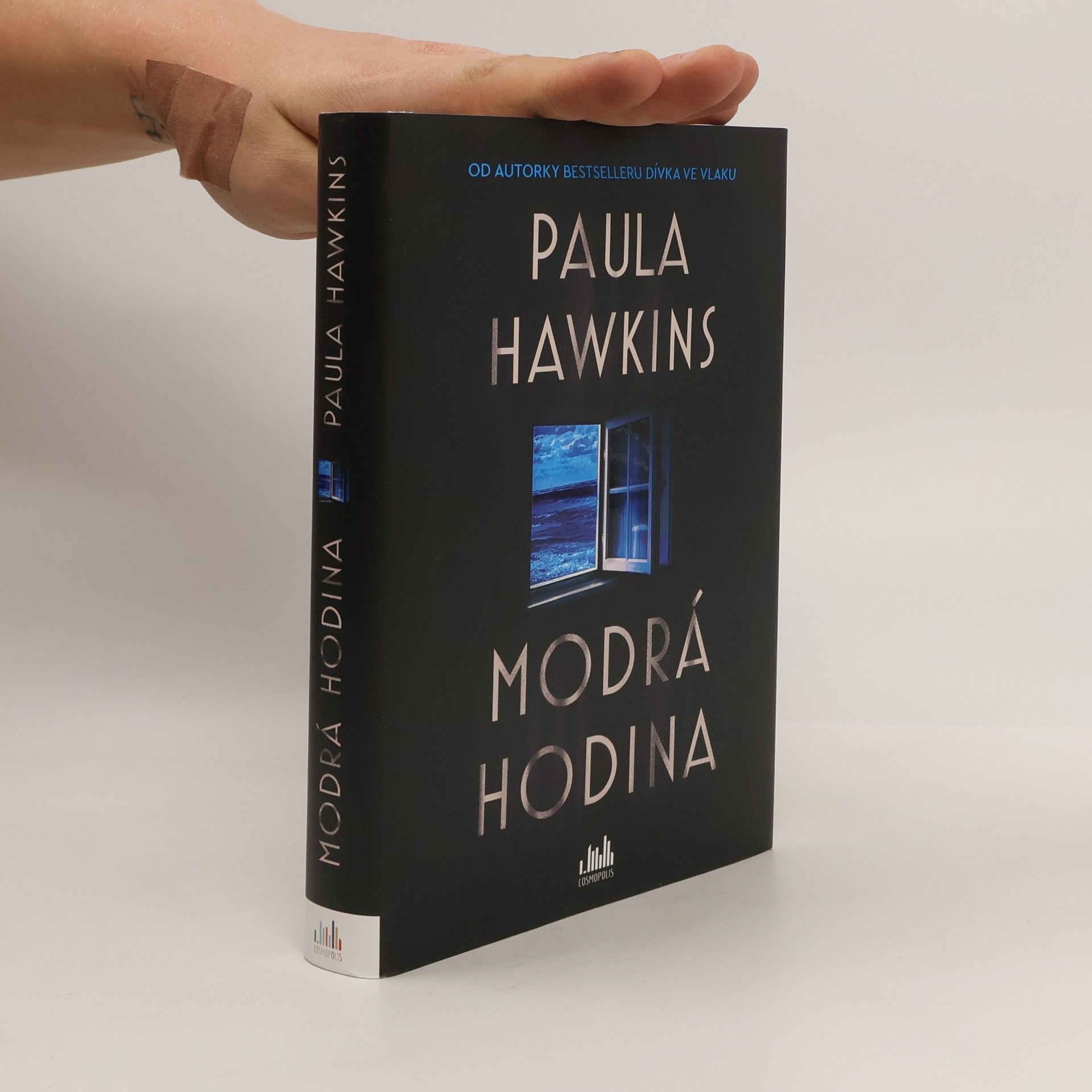 Paula Hawkins Modrá hodina