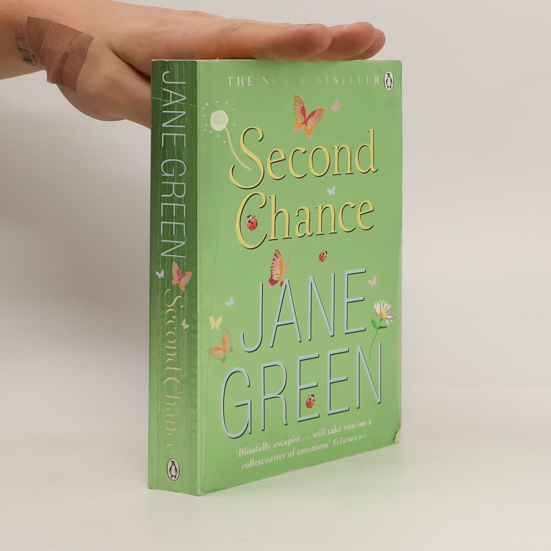 Jane Green Second Chance