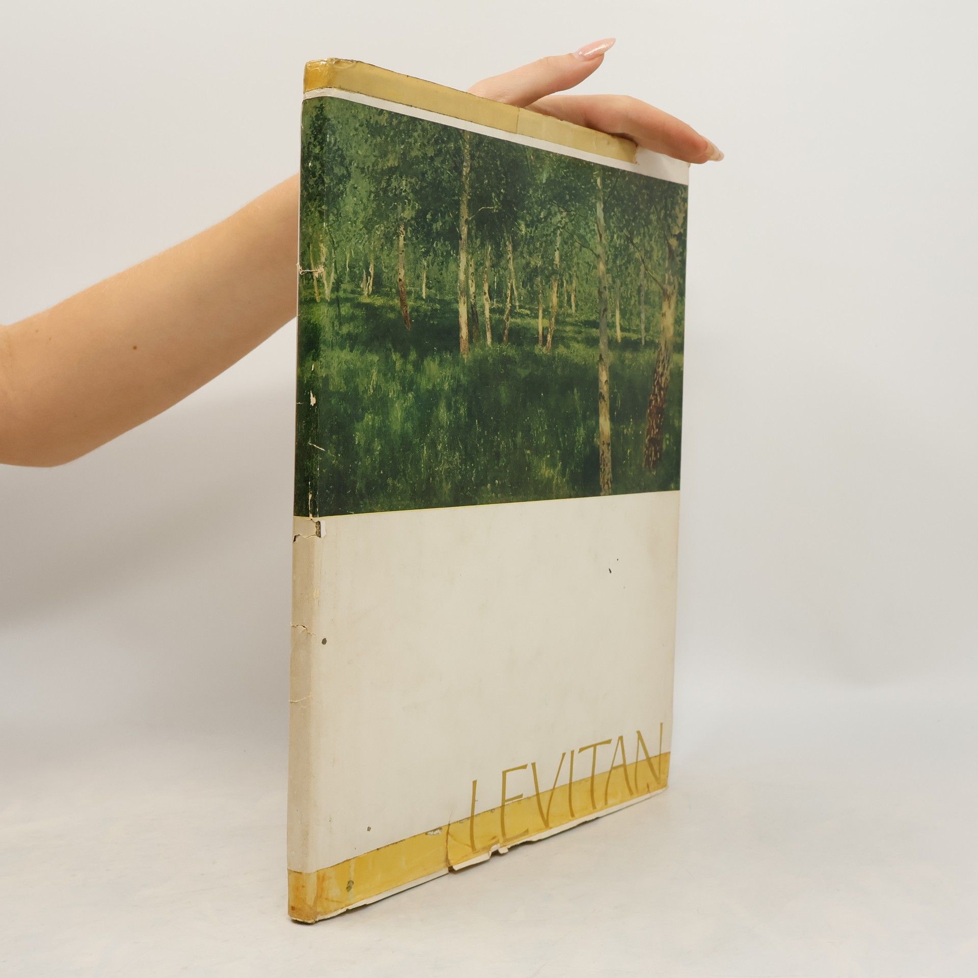 Kolektiv autorů Исаак Ильич Левитан к. 100 летию со дня рождения 1800-1960