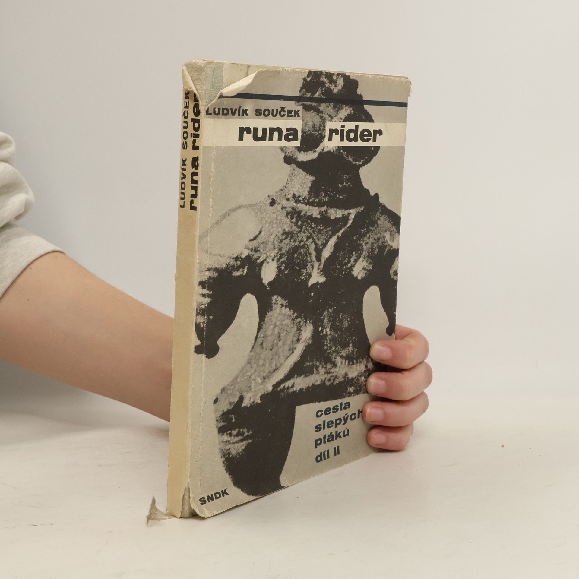 Ludvík Souček Runa rider: Cesty slepých ptáků II