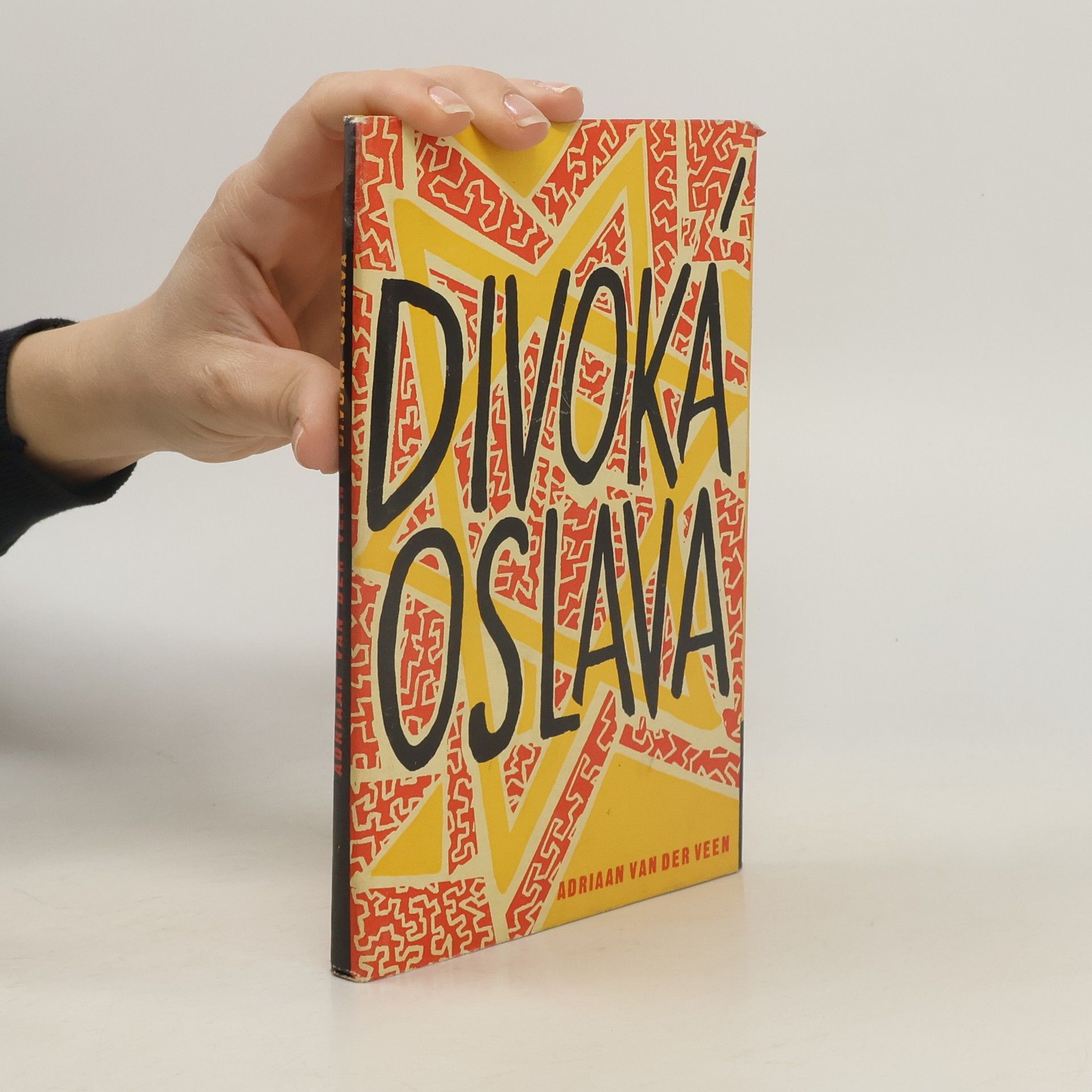 Adriaan van der Veen Divoká oslava