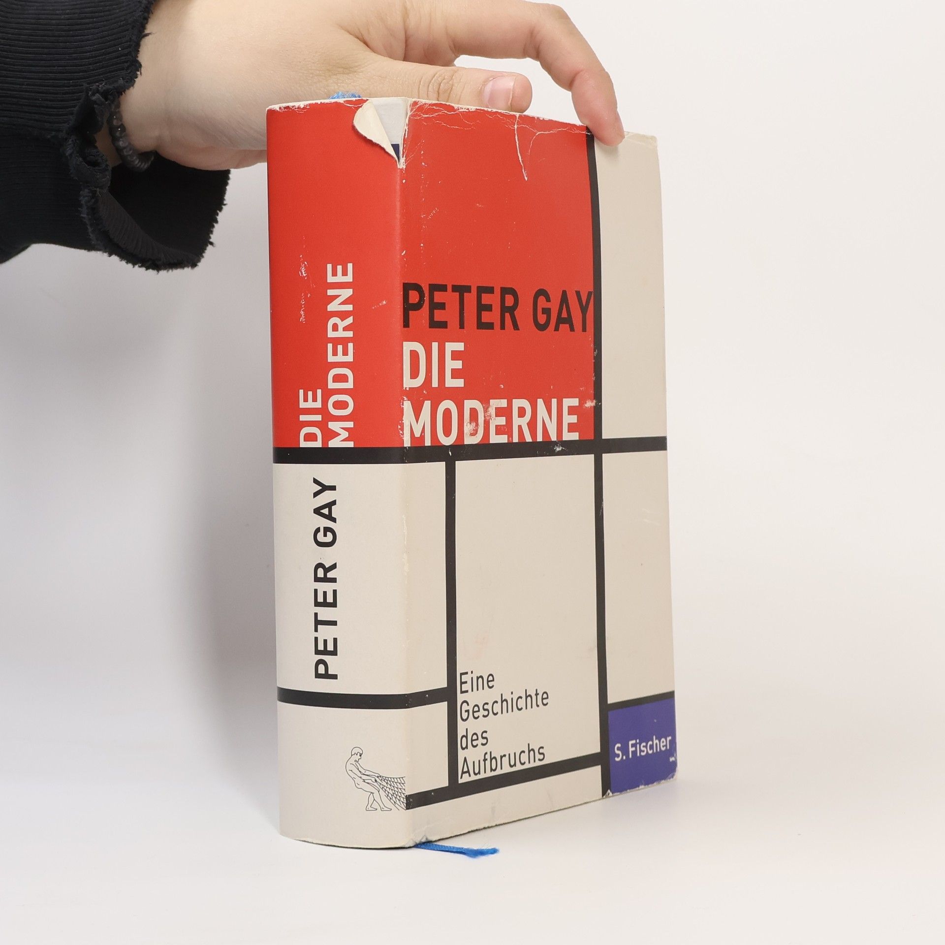 Peter Gay Die Moderne