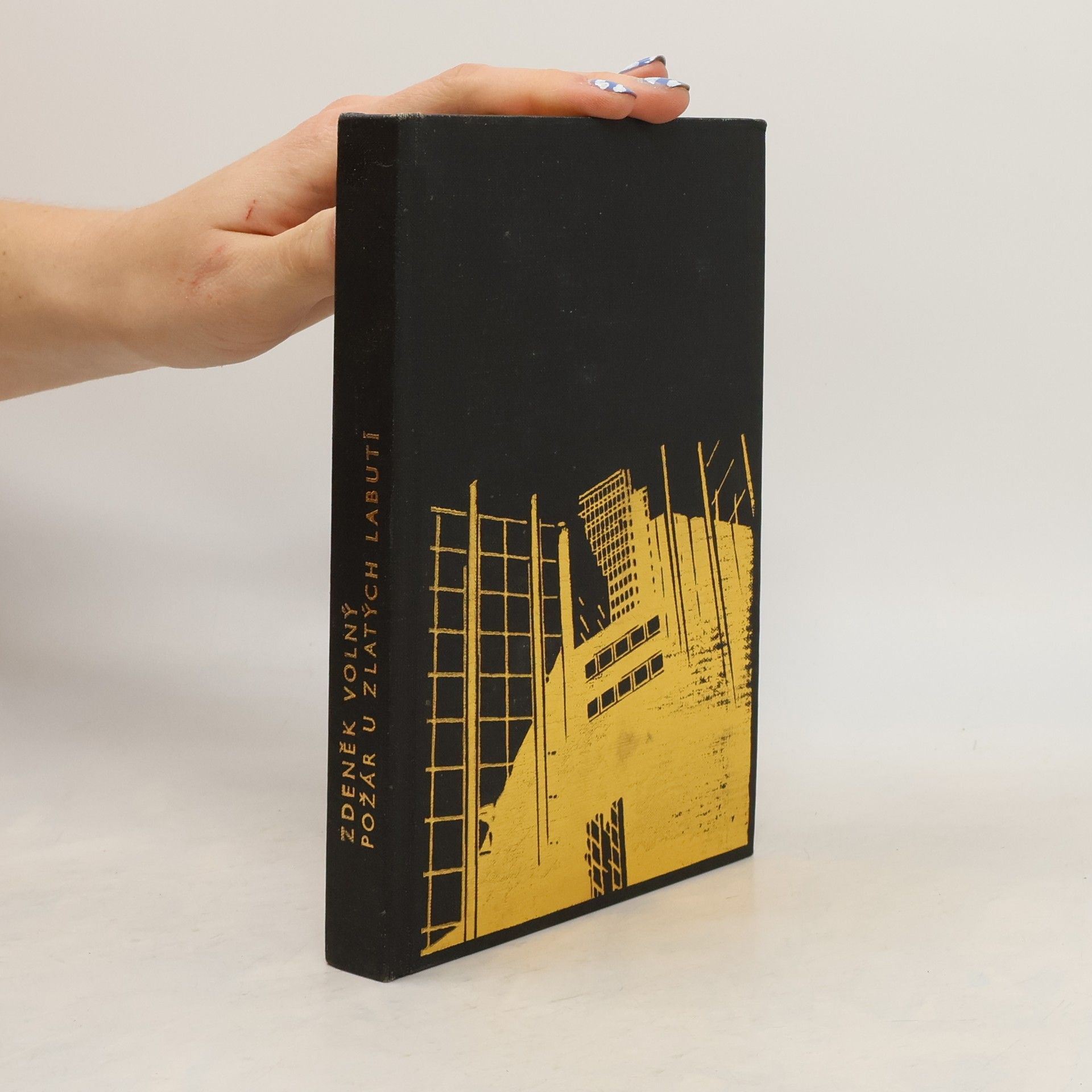 Zdeněk Volný Požár u zlatých labutí