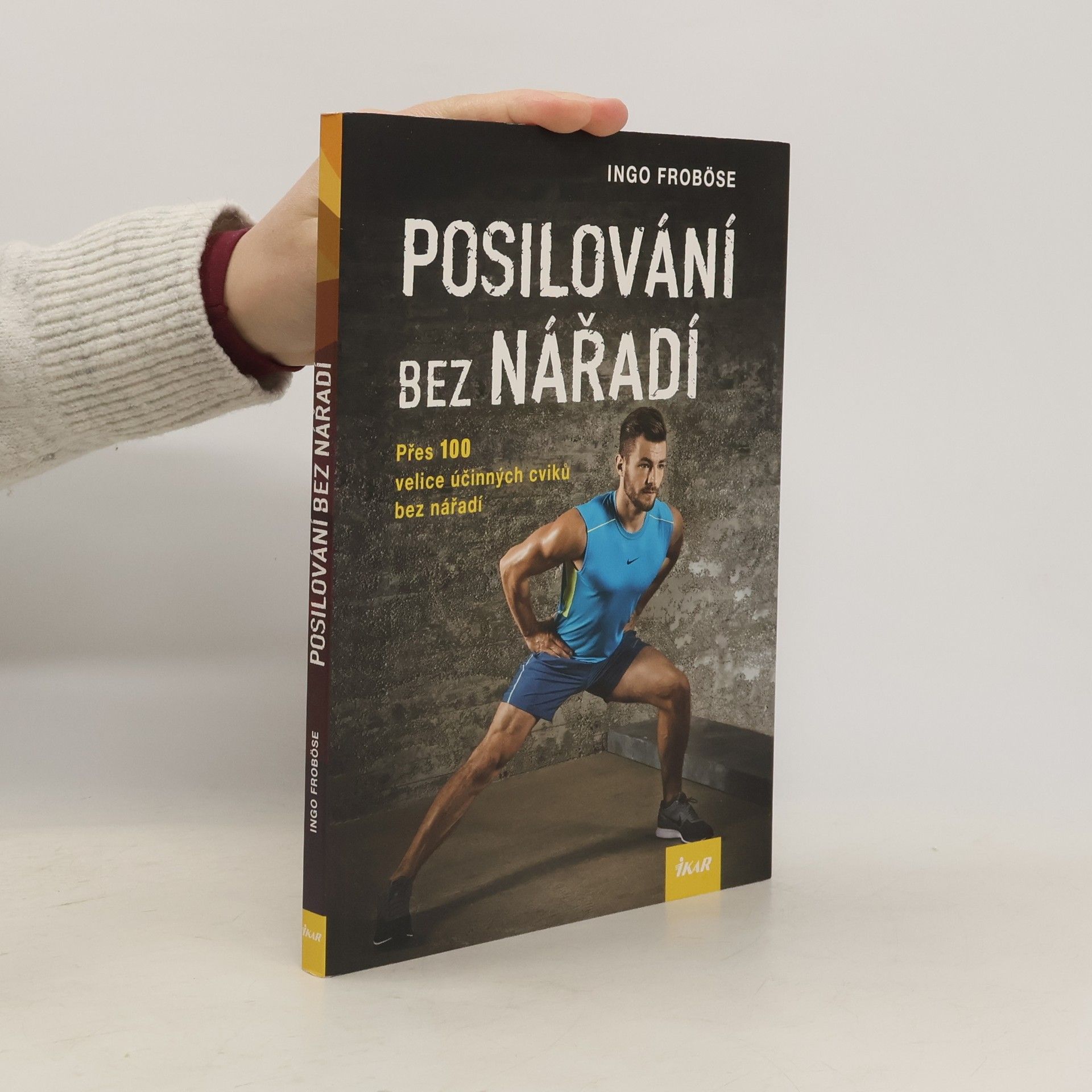 Ingo Froböse Posilování bez nářadí