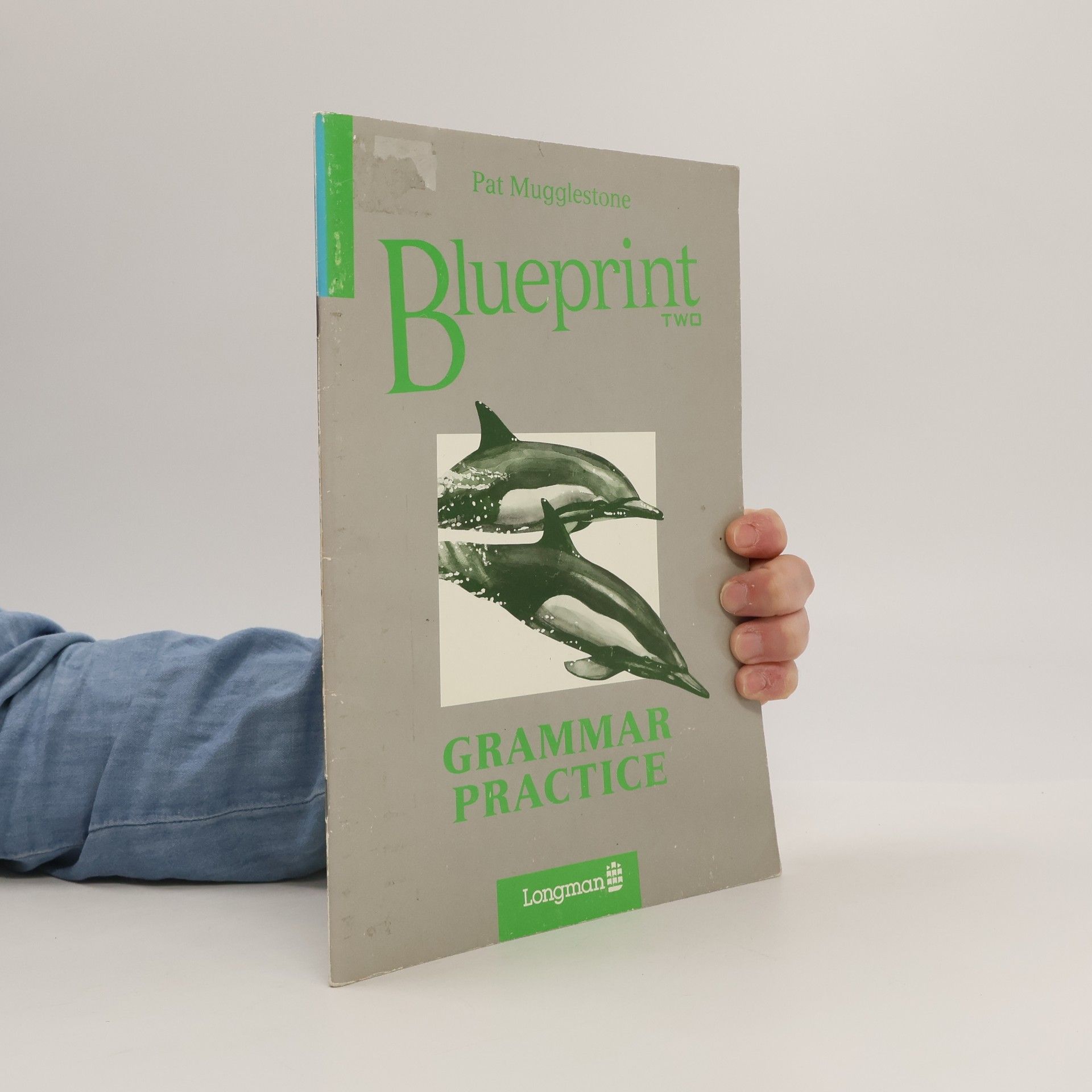 Pat Mugglestone Blueprint two : grammar practice