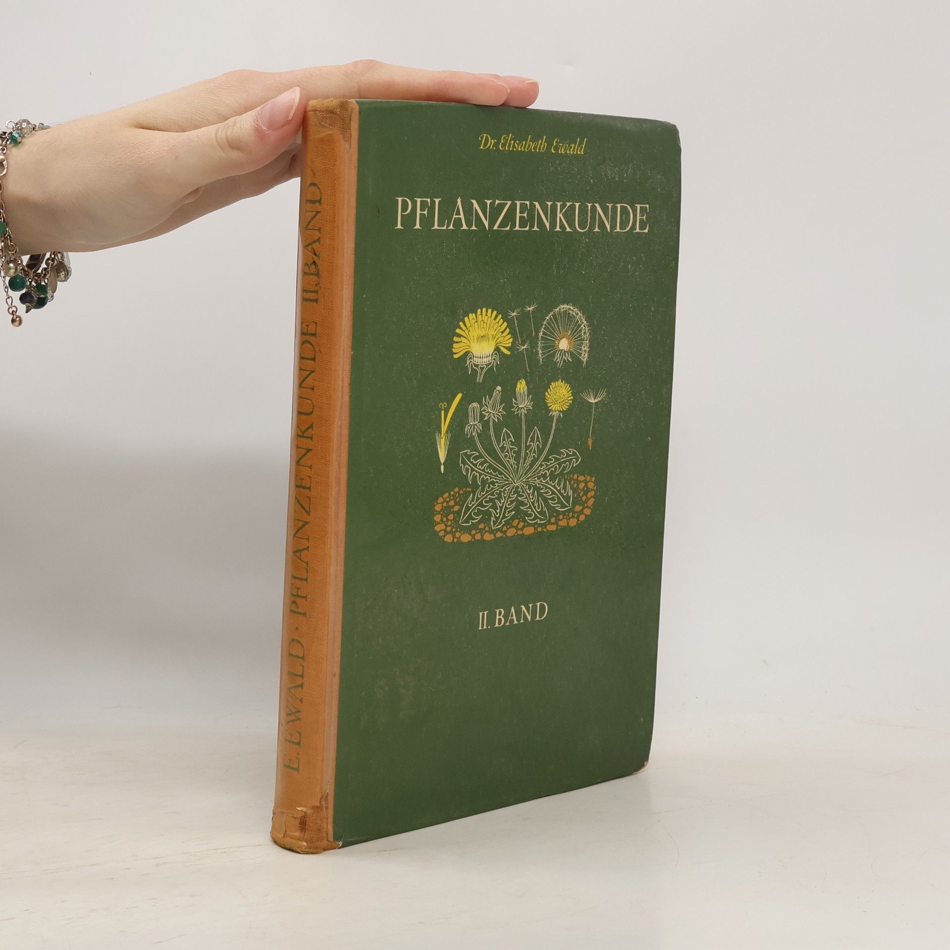Elisabeth Ewald Pflanzenkunde II. Band