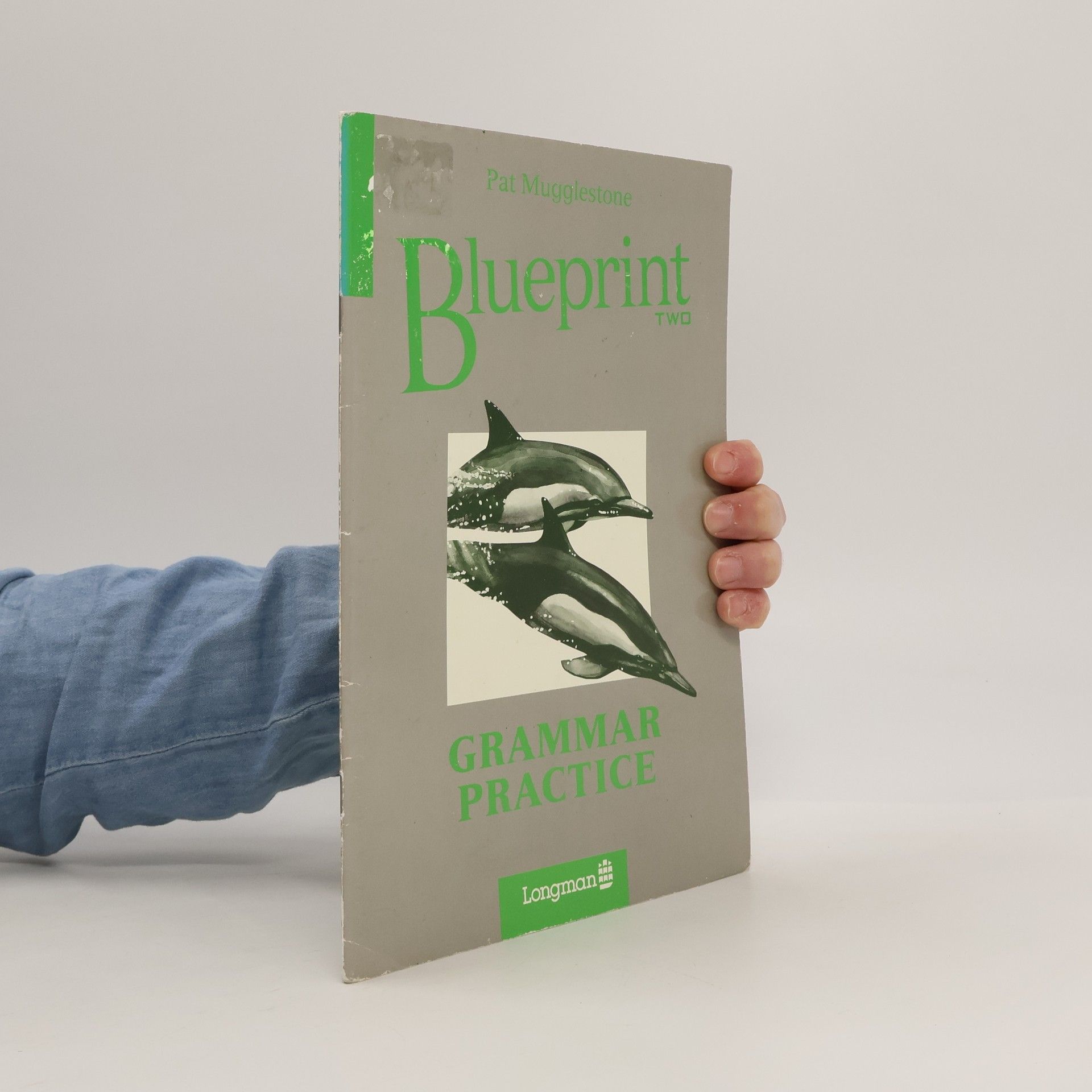 Pat Mugglestone Blueprint two : grammar practice