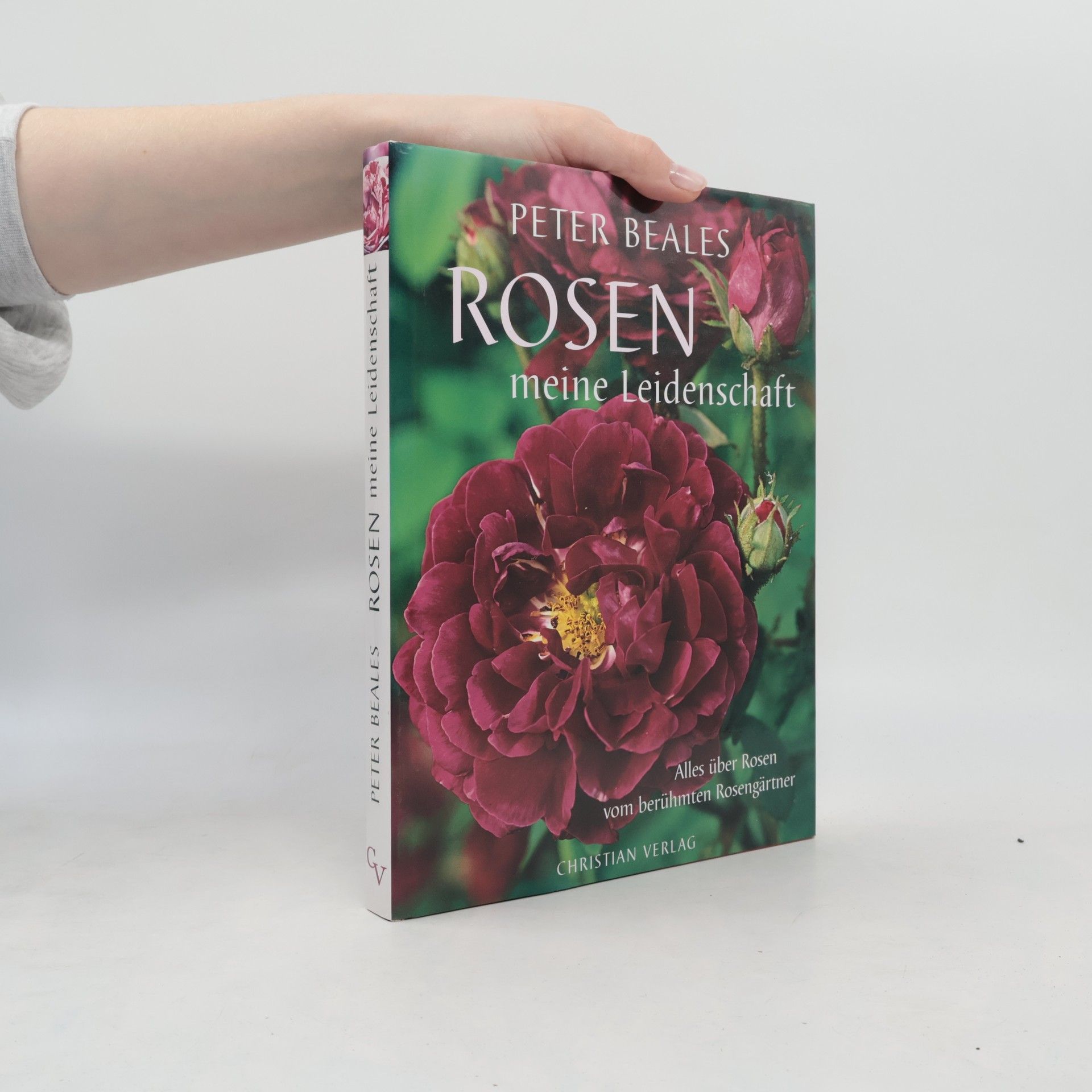 Peter Beales Rosen, meine Leidenschaft