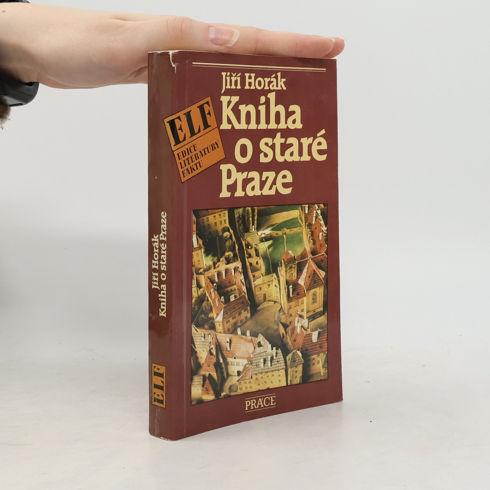 Kniha o staré Praze