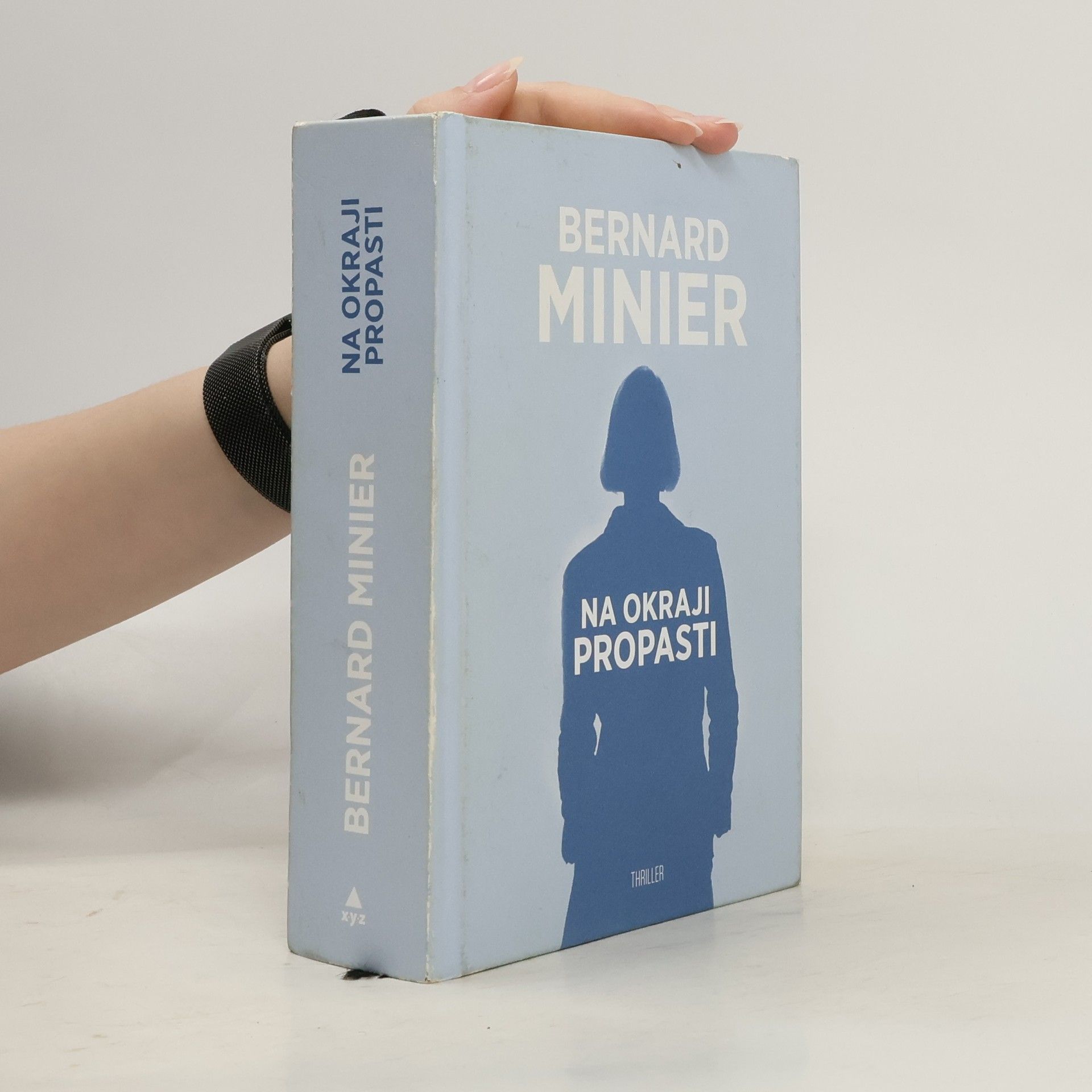 Bernard Minier Na okraji propasti