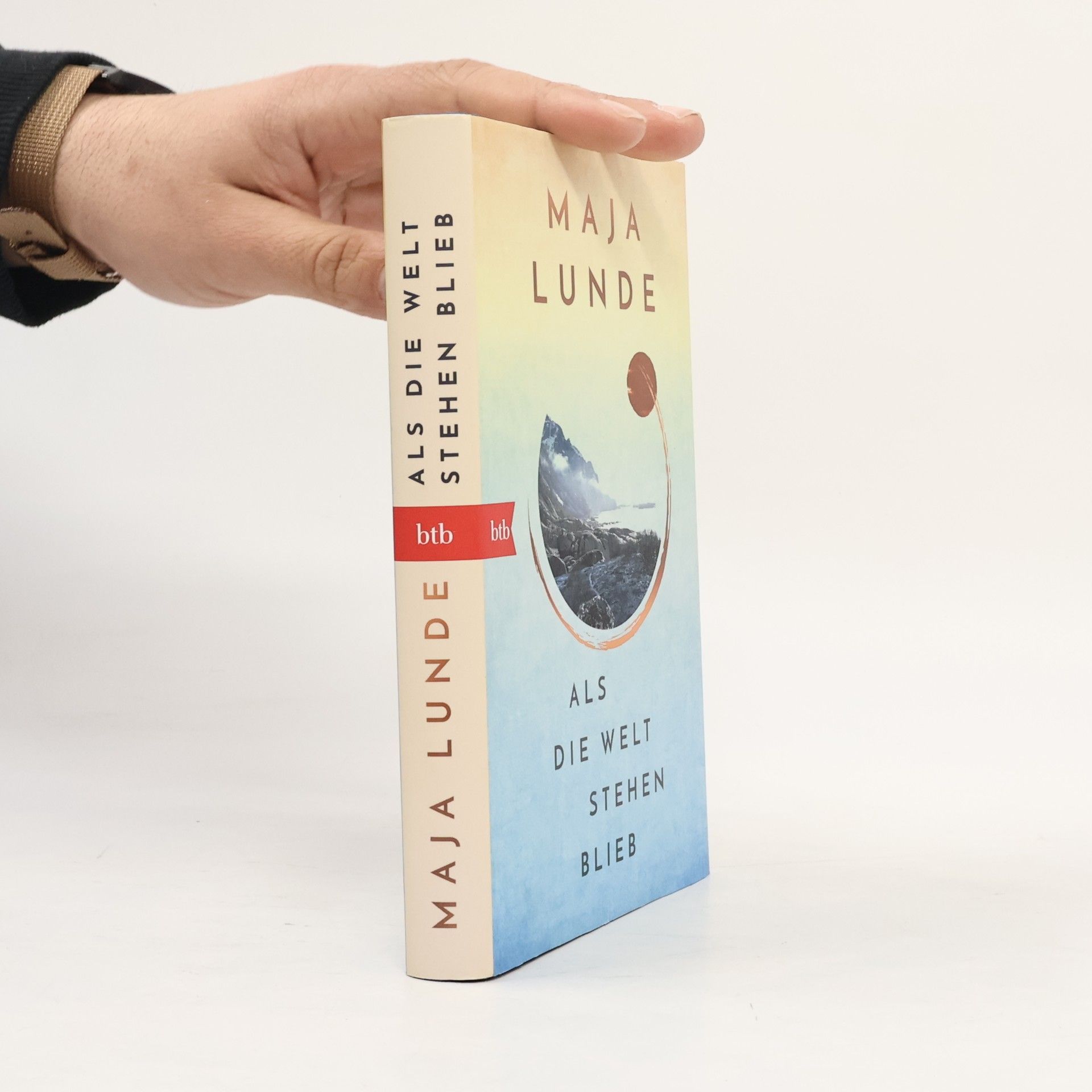 Maja Lunde Als die Welt stehen blieb