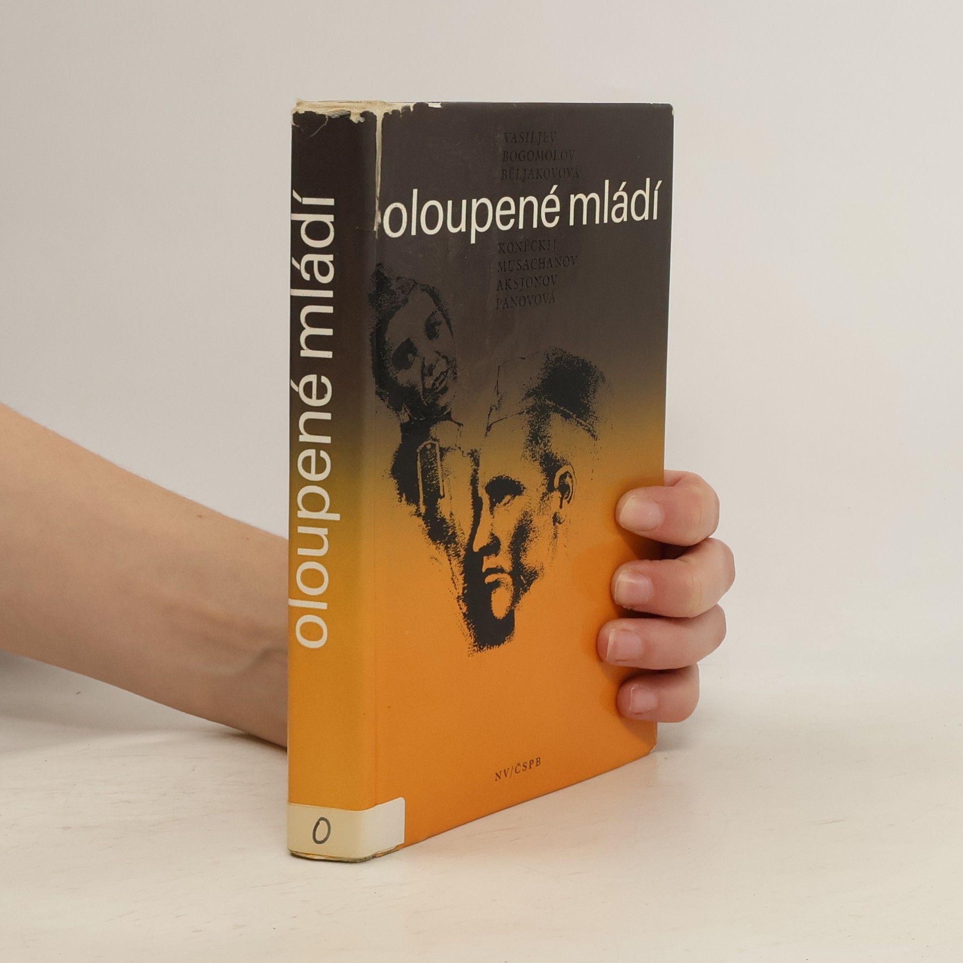 Kolektiv autorů Oloupené mládí