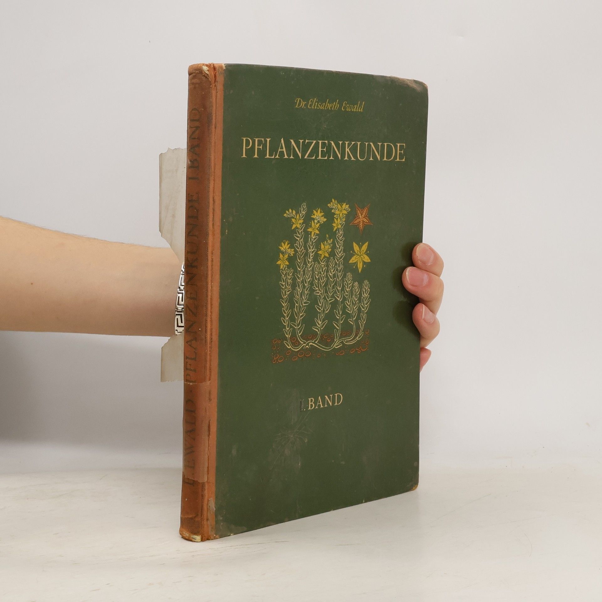 Elisabeth Ewald Pflanzenkunde I