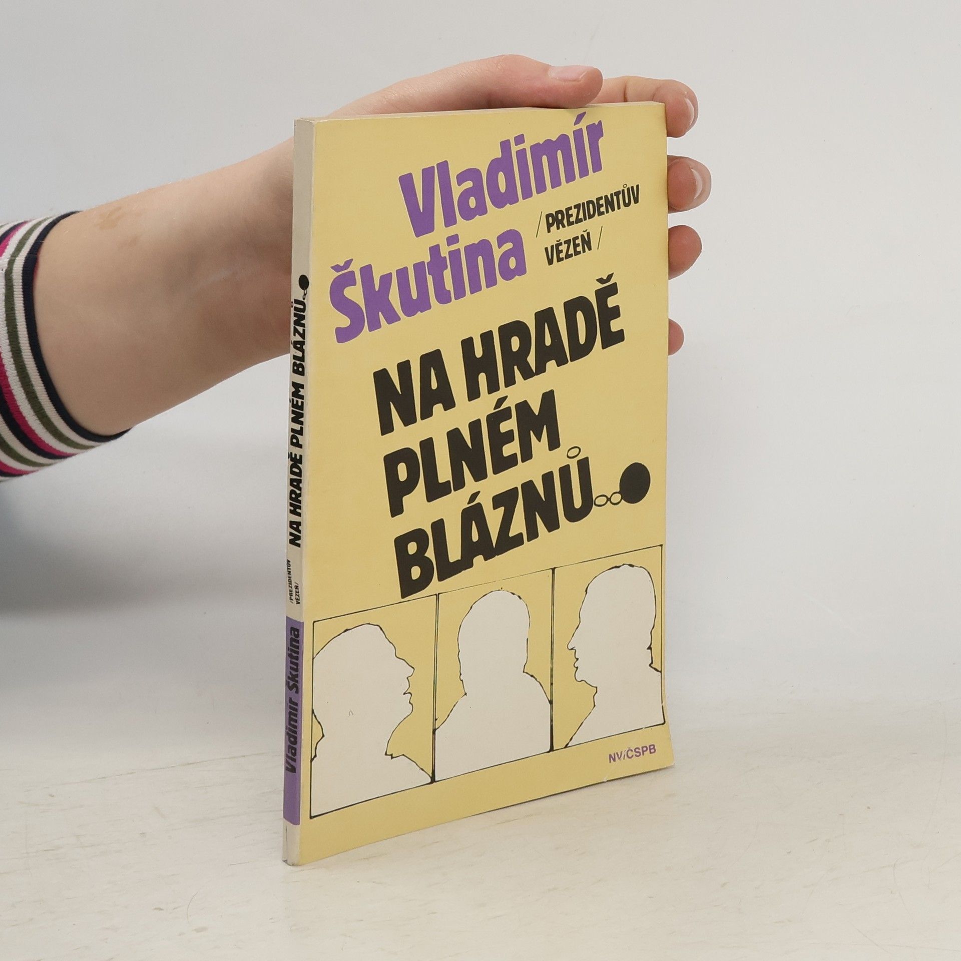 Vladimír Škutina Na hradě plném bláznů