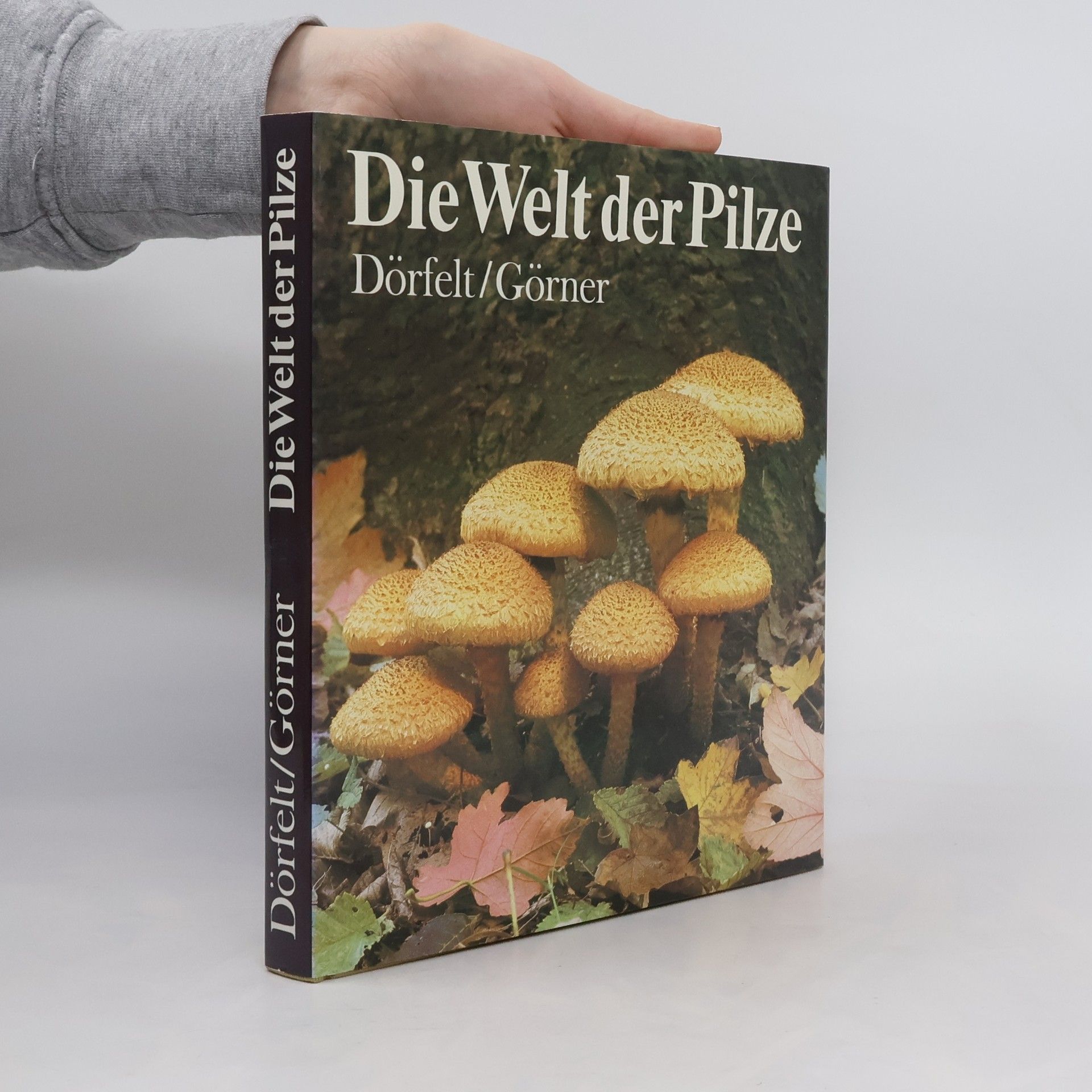 Heinrich Dörfelt Die Welt der Pilze