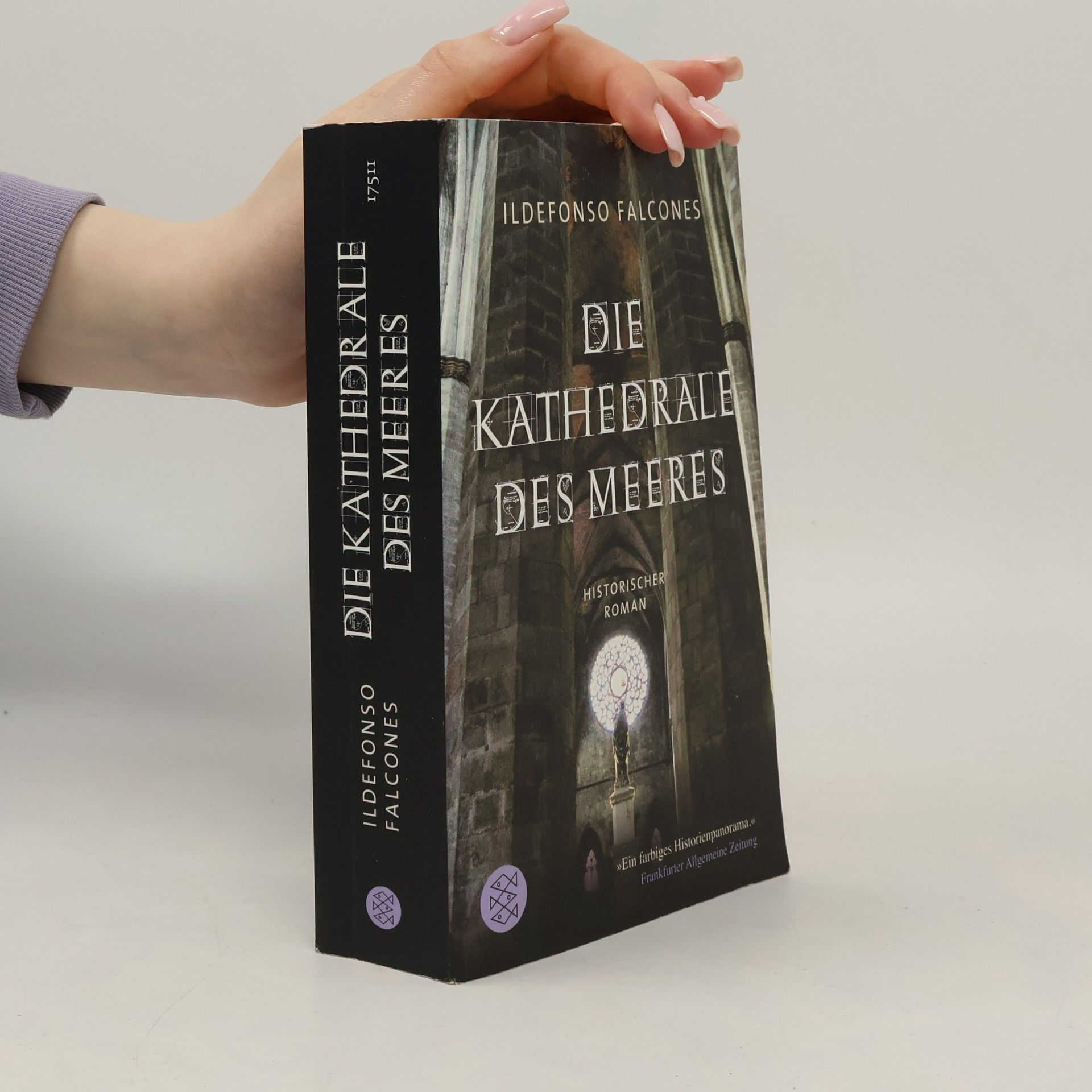 Ildefonso Falcones Die Kathedrale des Meeres