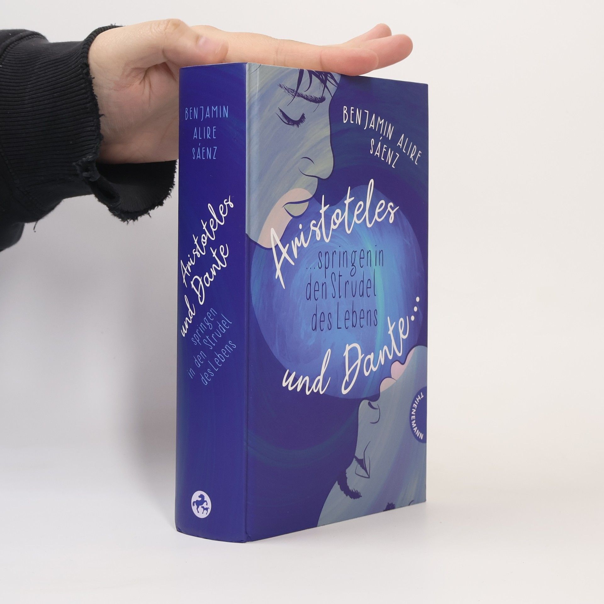 Benjamin Alire Sáenz Aristoteles und Dante springen in den Strudel des Lebens