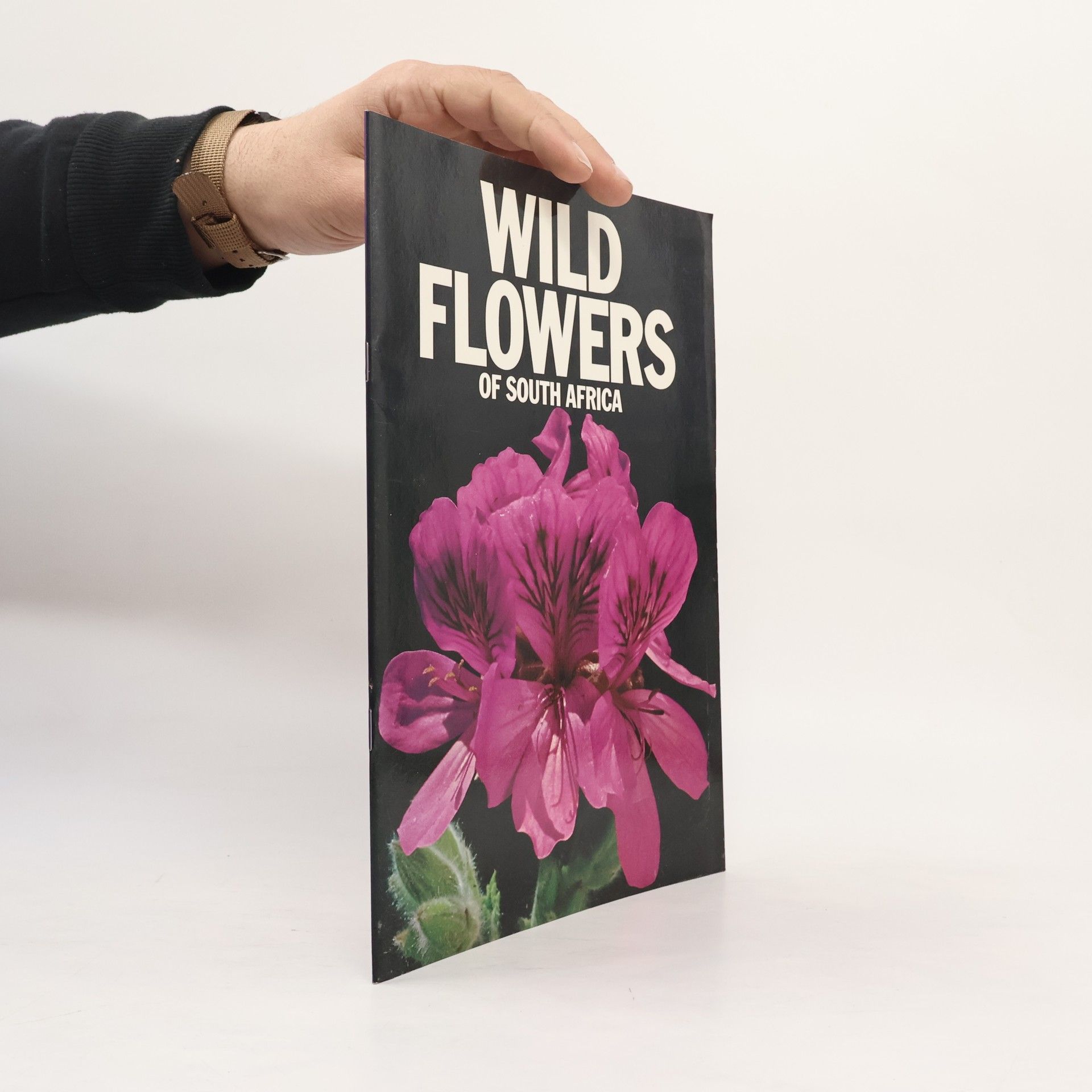 Shelley Van Zyl Wild Flowers of Southern Africa