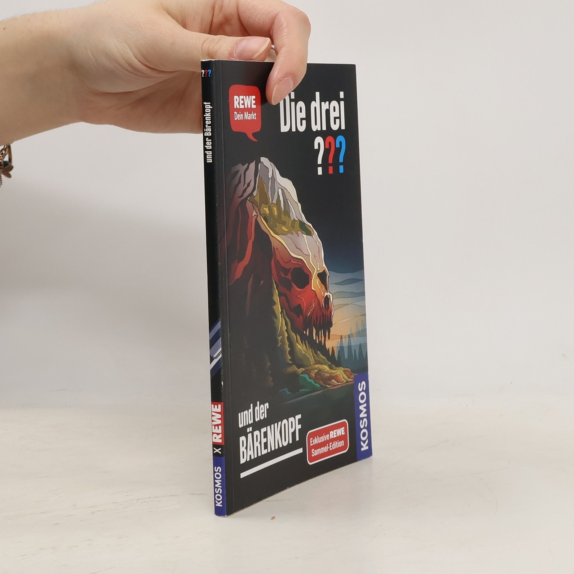 Andreas Ruch Die drei ??? und der Bärenkopf